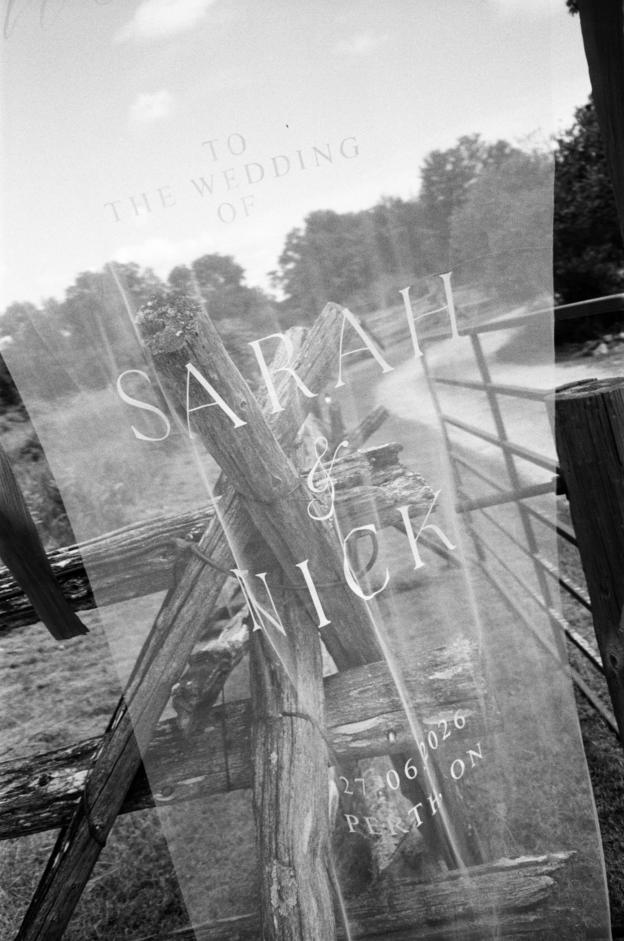 b+w film-2.jpg
