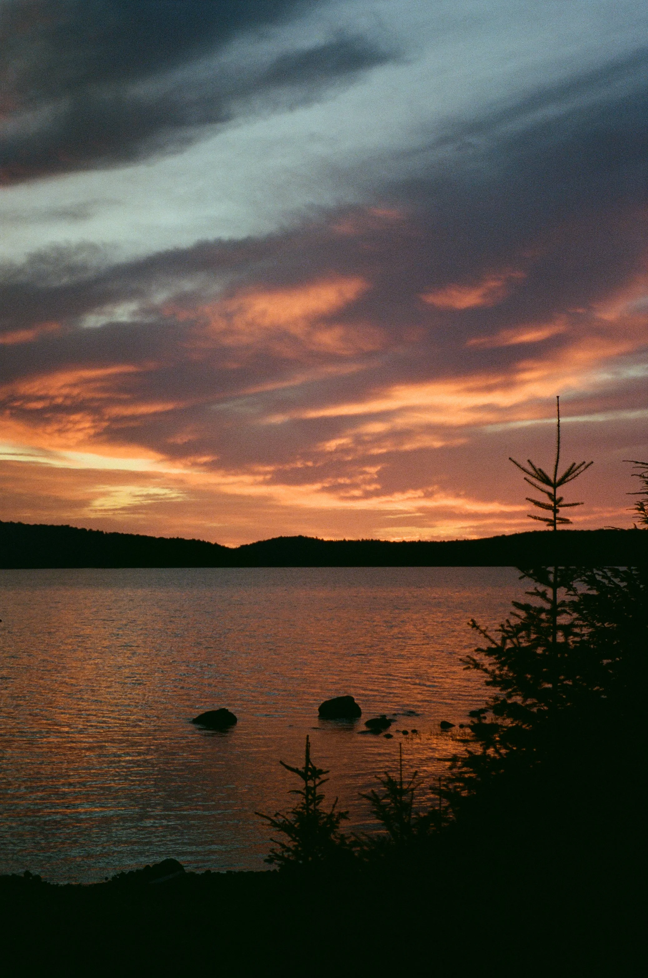 FILM-10.jpg