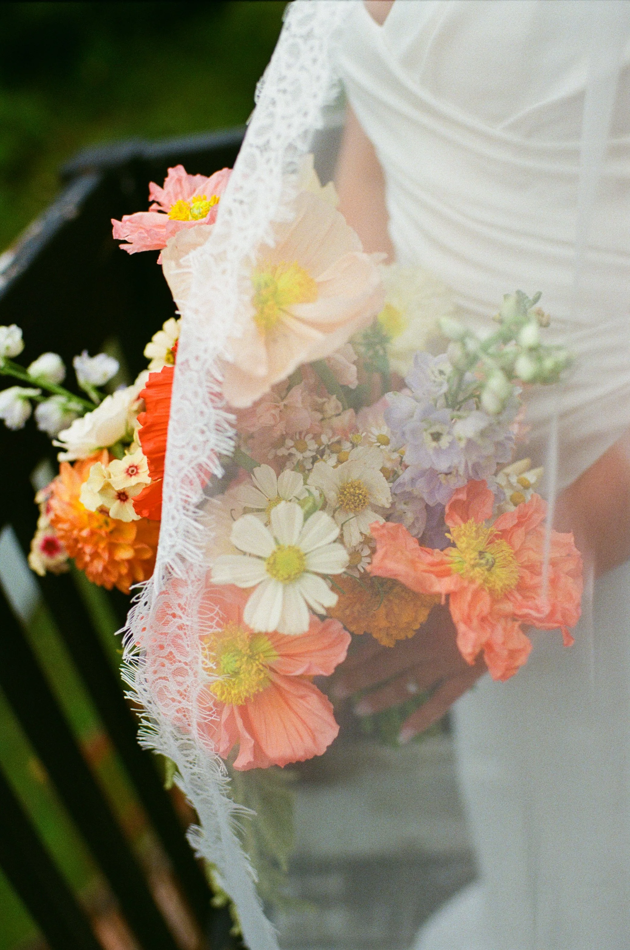 FILM-139.jpg