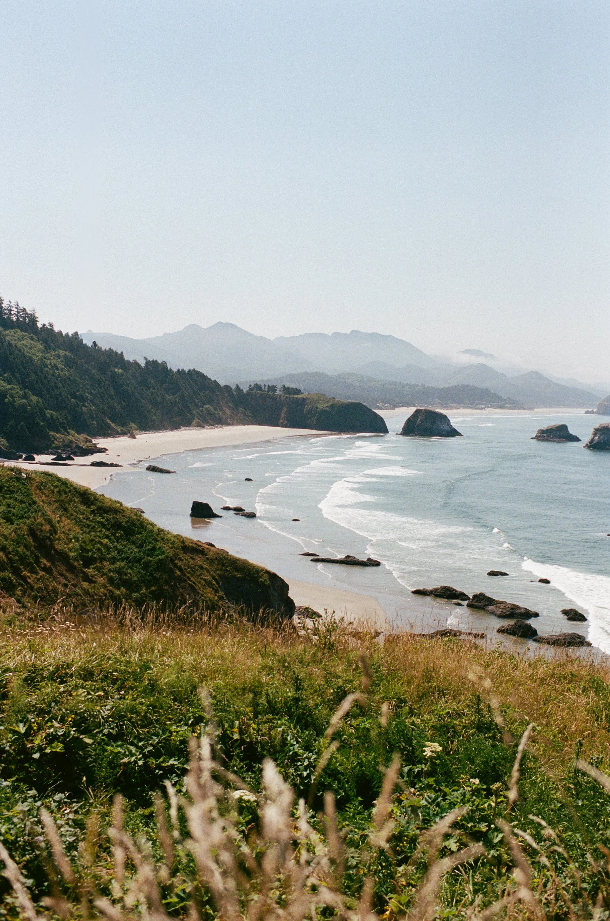 OREGON FILM-19.jpg