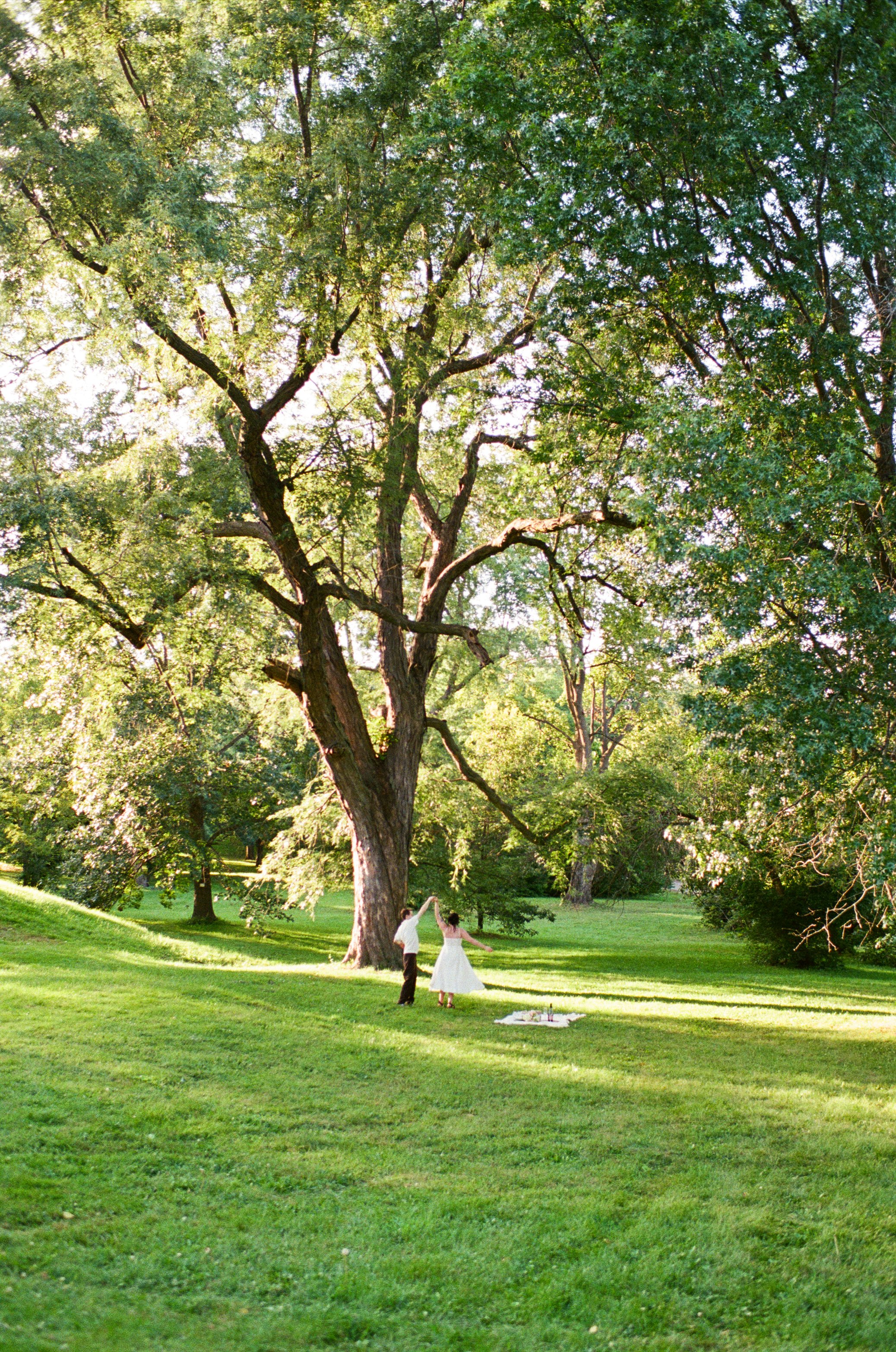 FILM-83.jpg