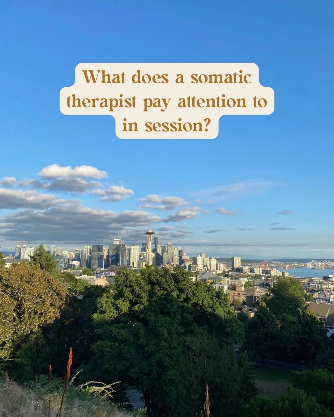 What do I pay attention to in a somatic therapy session ? 

✨ how are you telling your story? 

how was your speech?  Your tone? Your use of your body and how you tell your story? 

✨I&rsquo;m paying attention to your bodies cues and expressions. 

Y