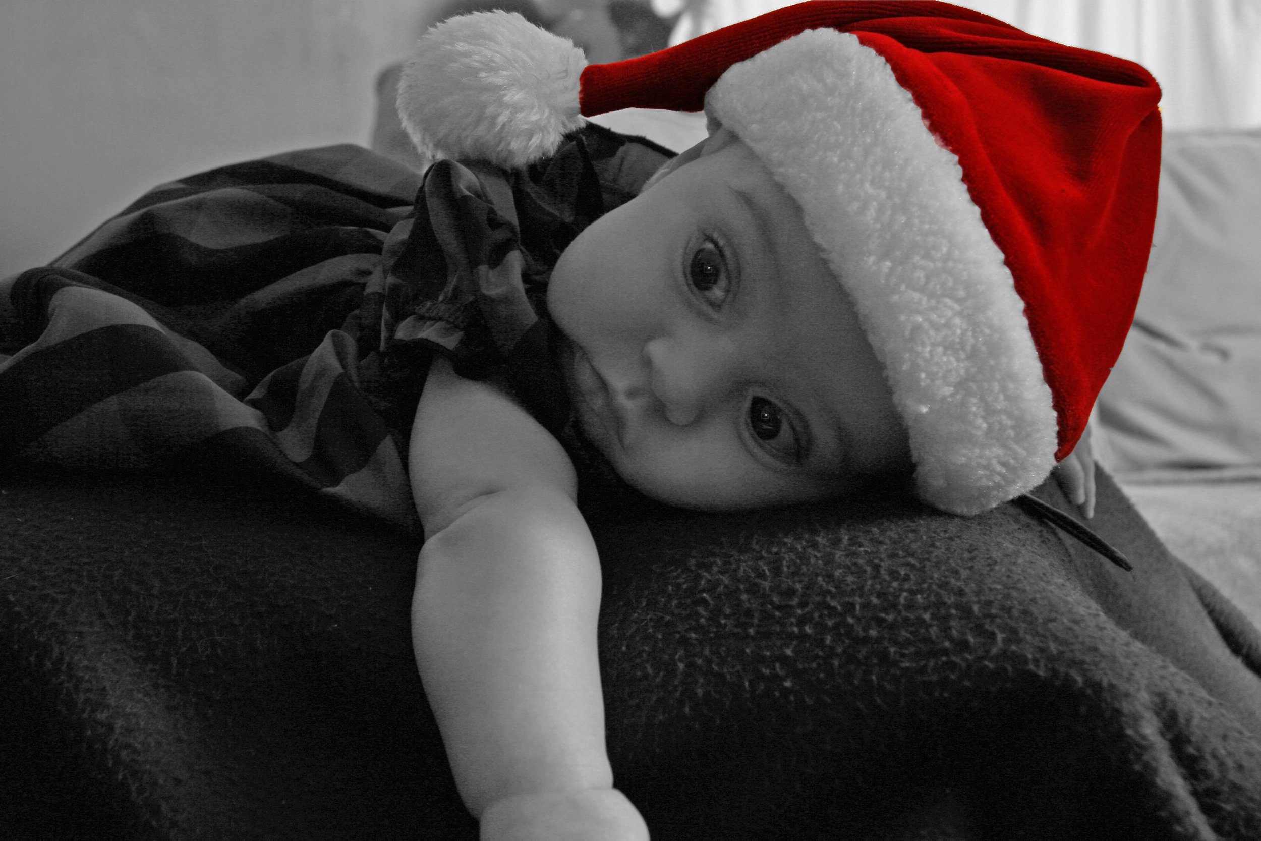 IMG_3911.jpg