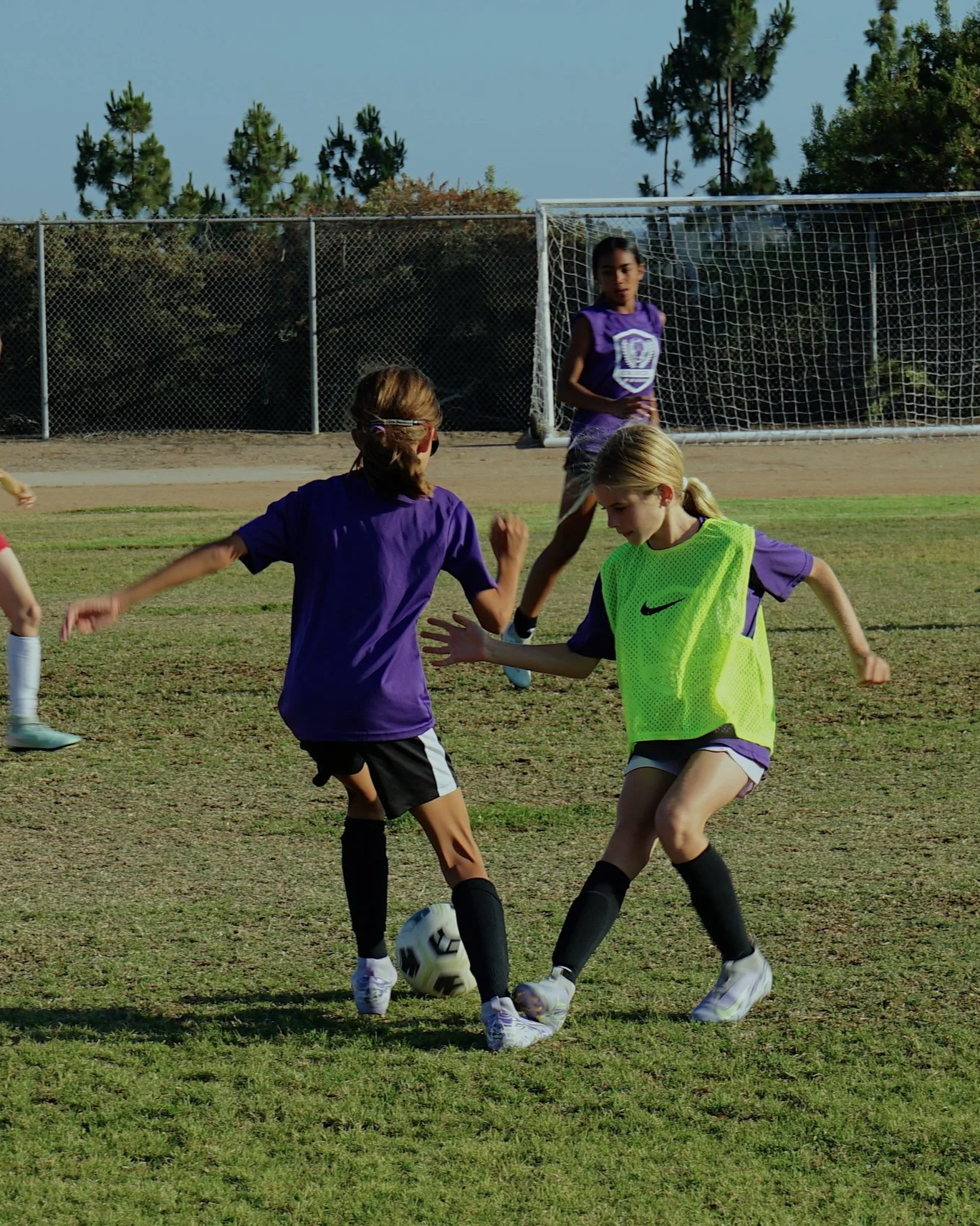 How Do I Plan My Meals for the Week?