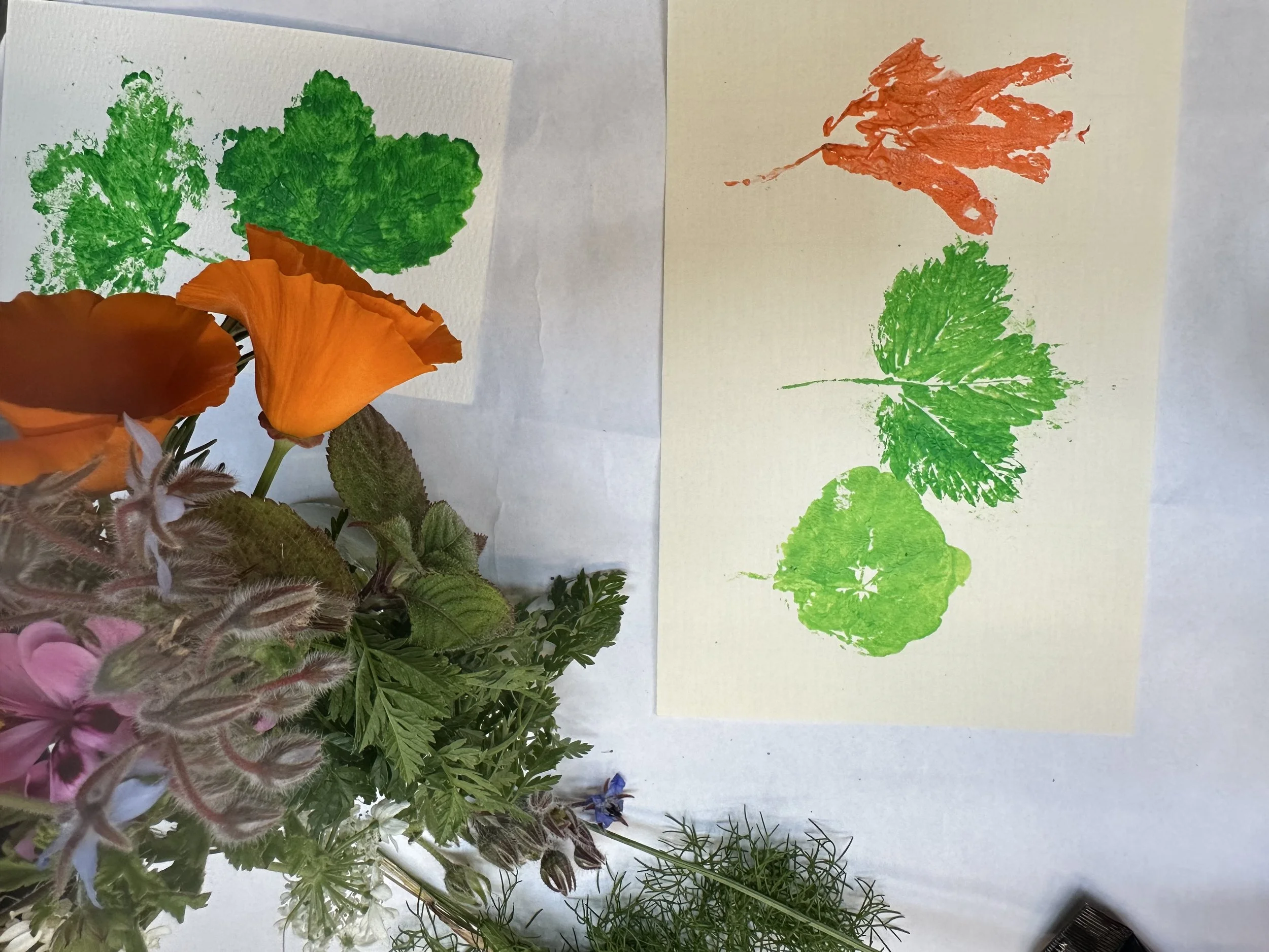 Flowers and Foliage, Prints and Presses: A Hands-On Creative Workshop