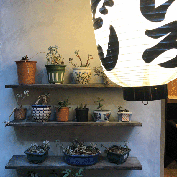  Turn Photos into Line Drawings with a Difference 