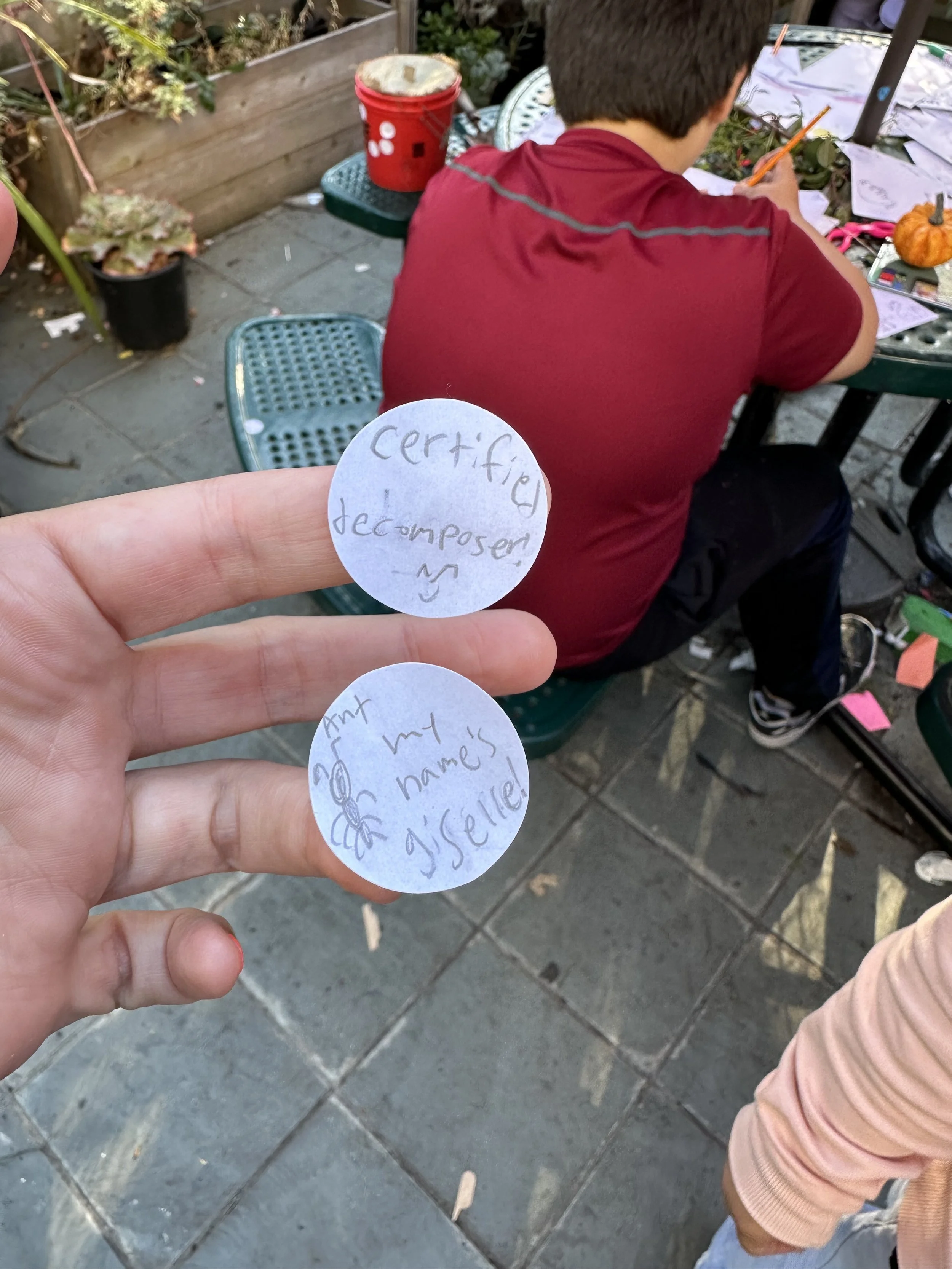 up-on-top-1025-IMG_2567 2.jpeg