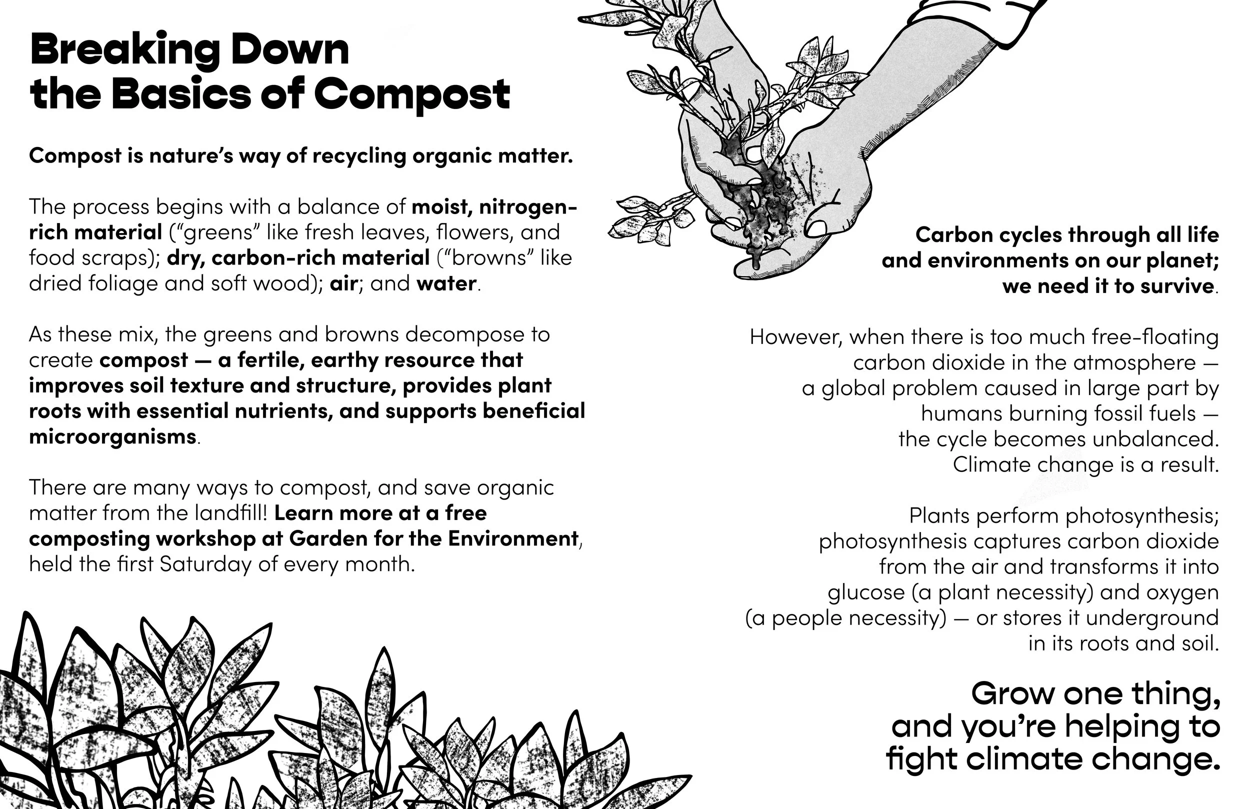 _16-17 compost + carbon sequestration.jpg
