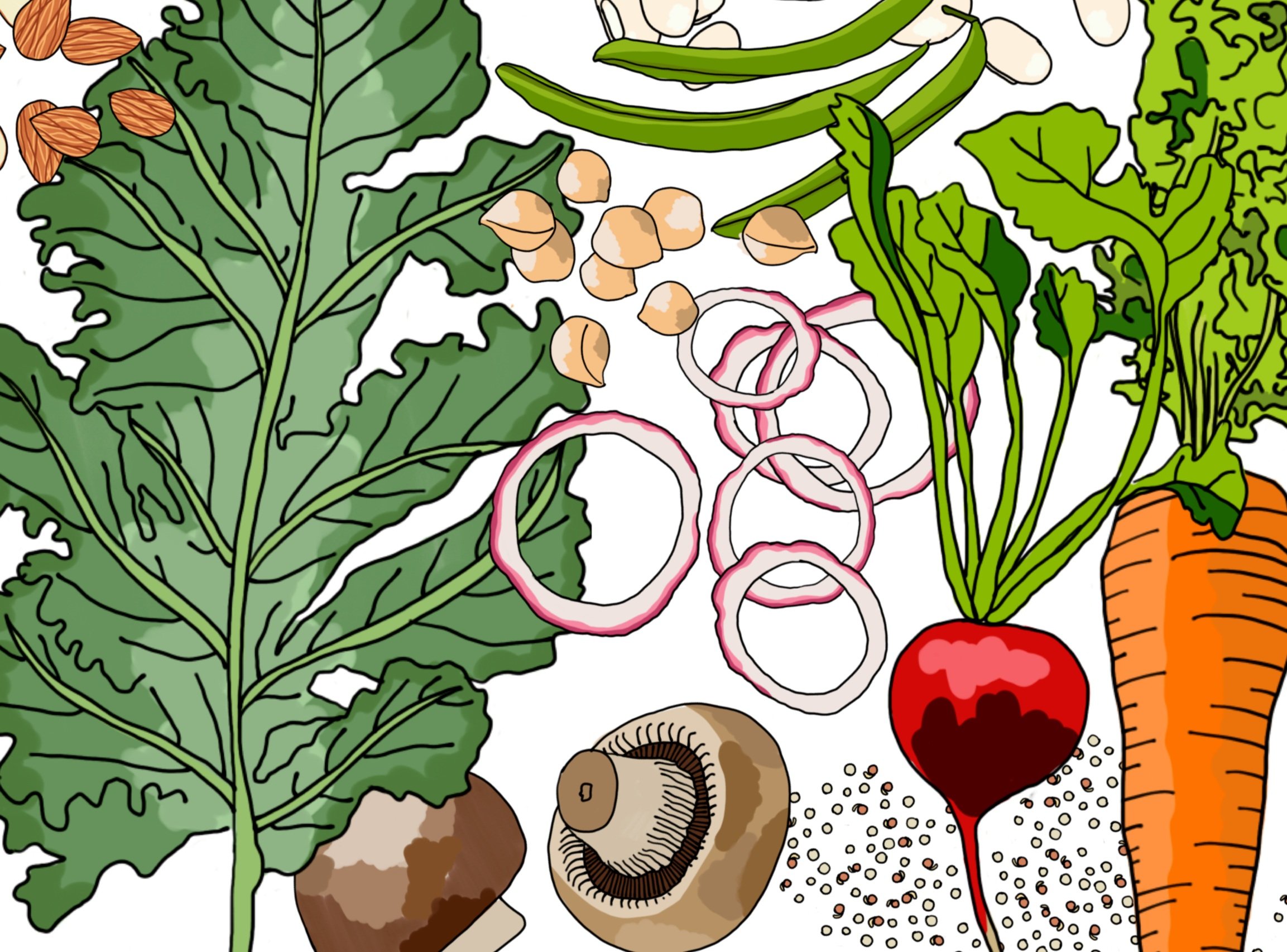  Garden for the Environment Potluck Recipe Zine 