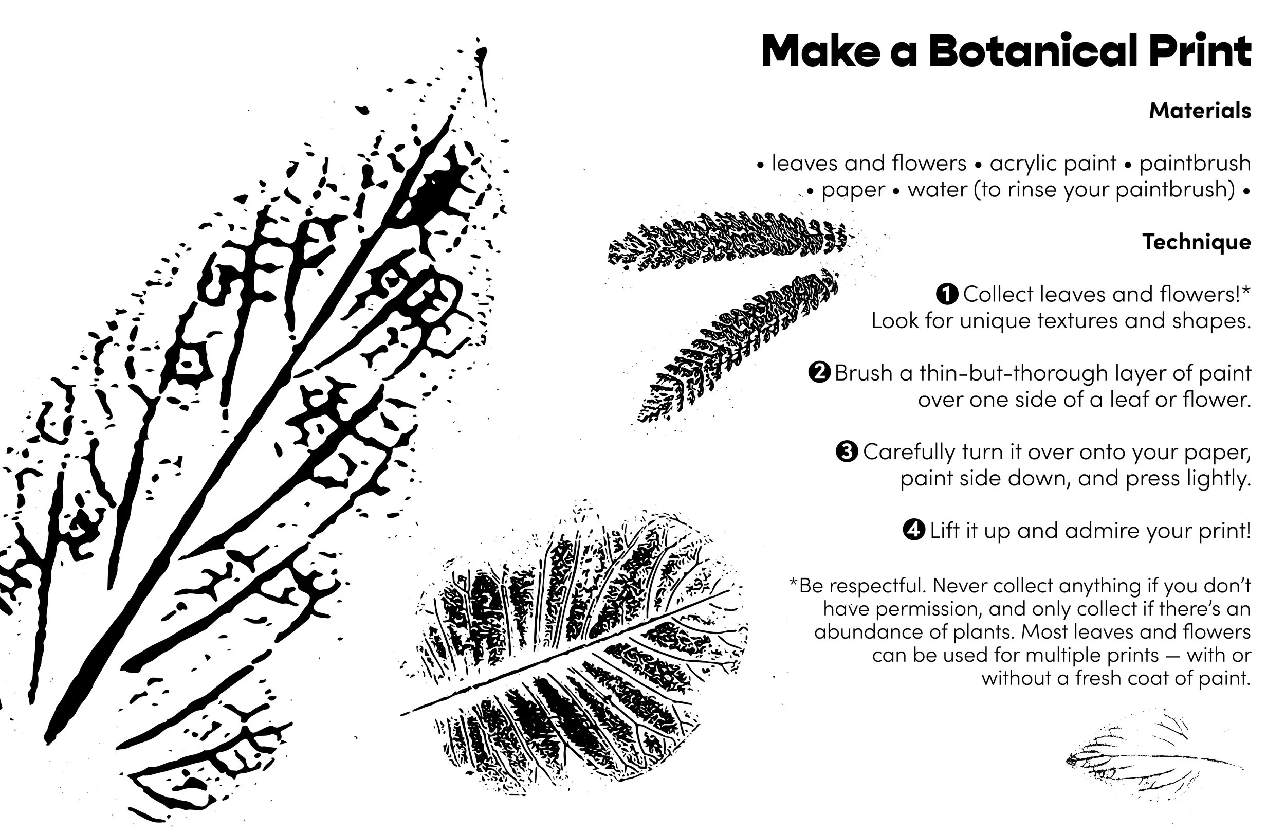 _14-15 botanical printing.jpg