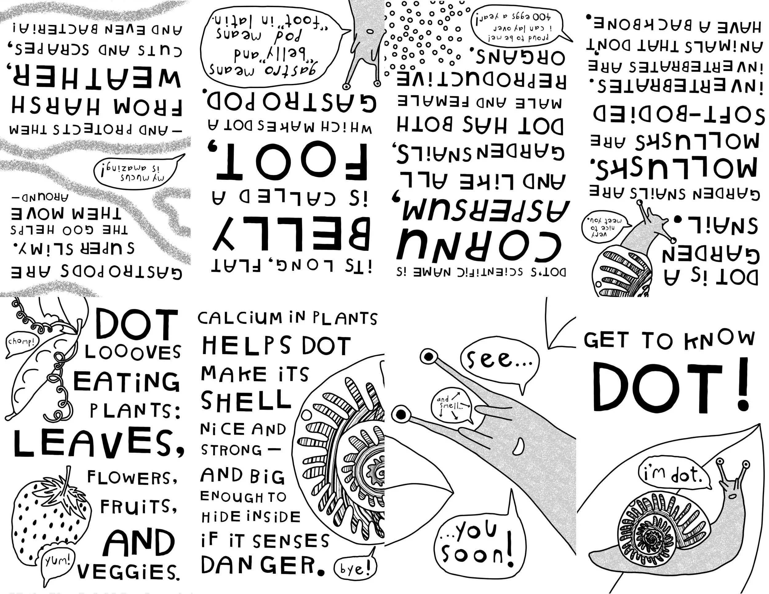   Get to know DOT!   one-page snail zine