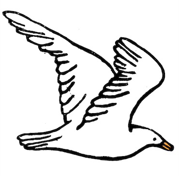 Screen Shot 2022-01-17 at 8.41.53 PM.png