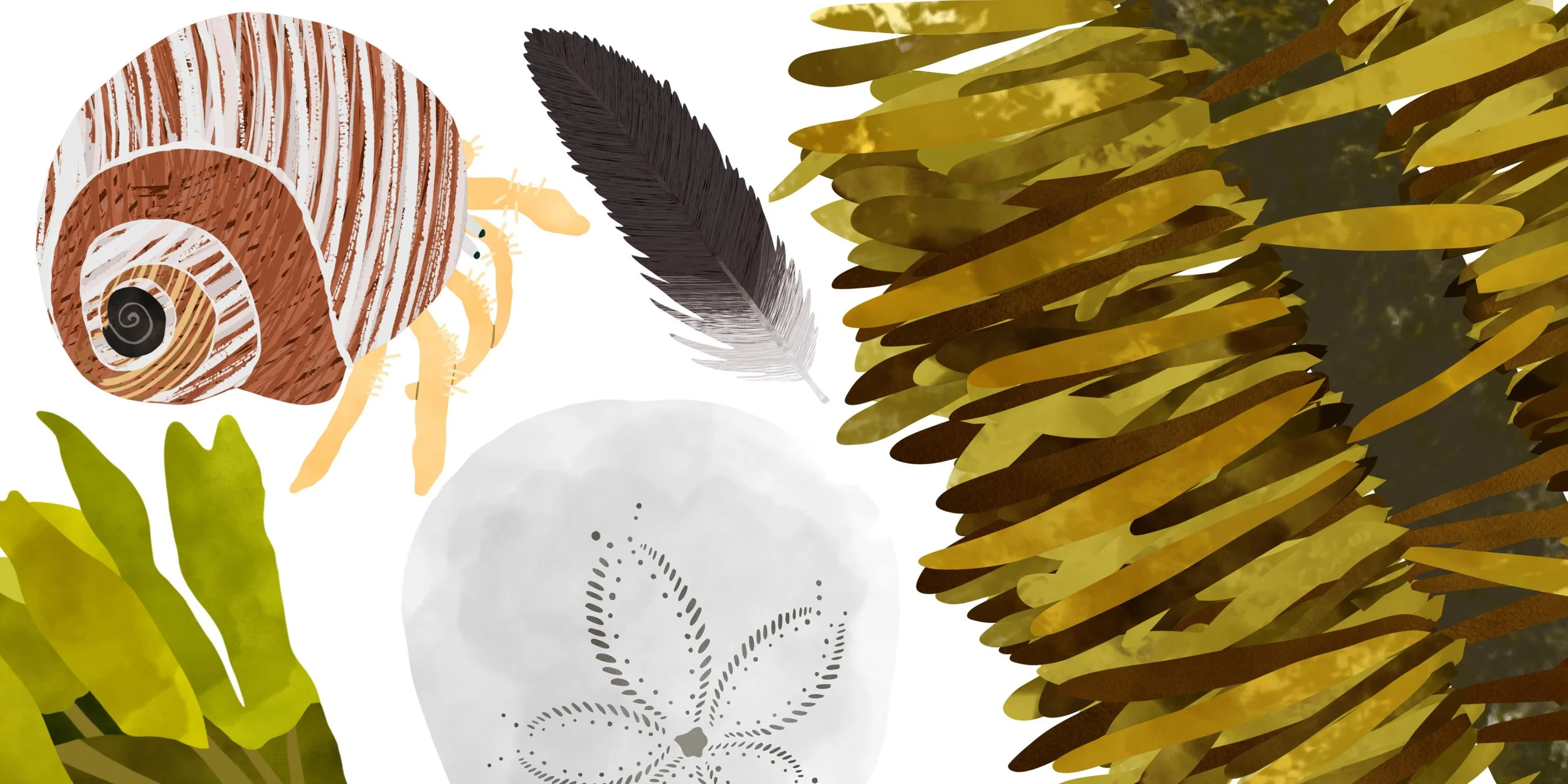  Ocean Beach and the Outer Sunset 