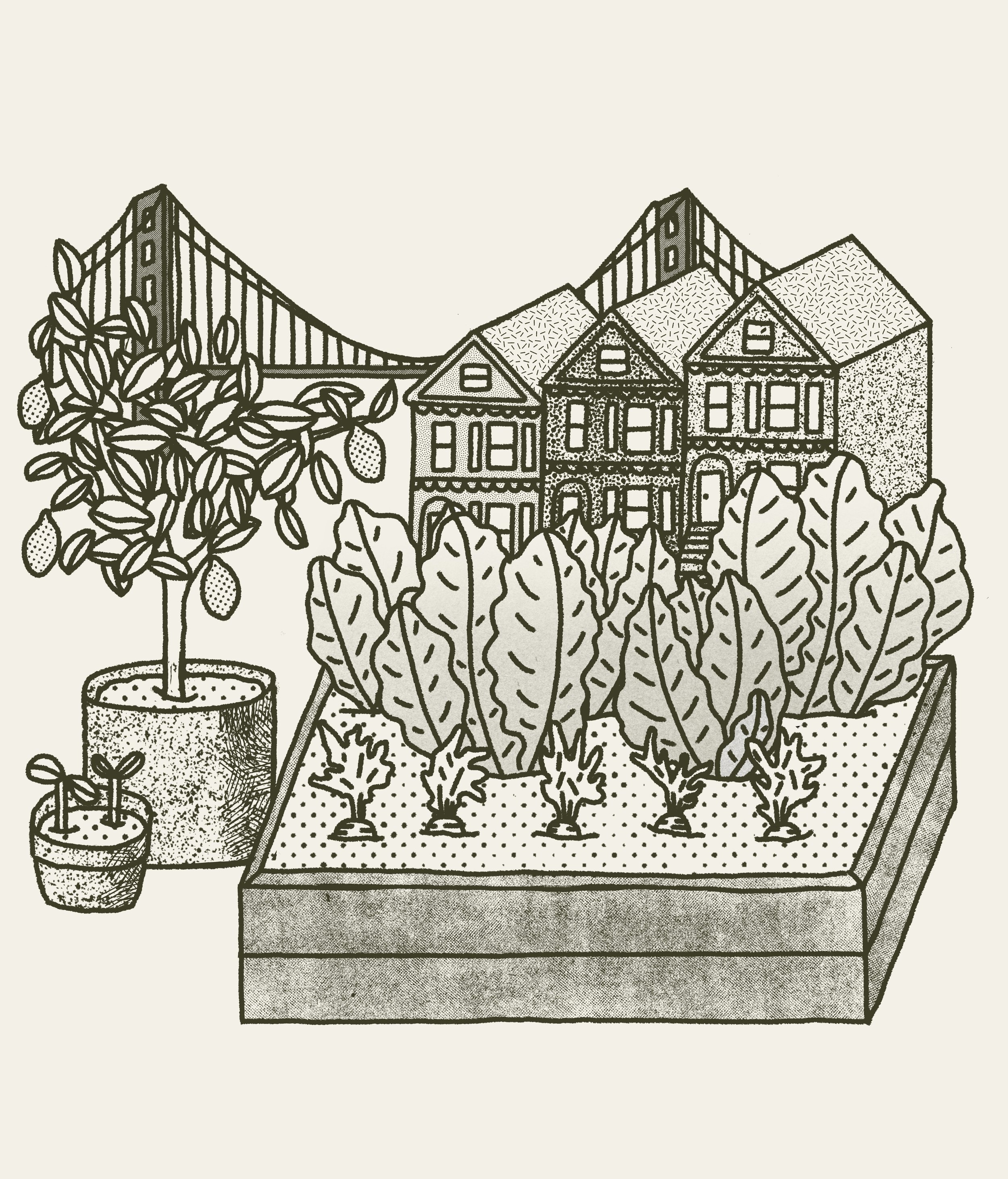 VICTORY GARDEN FINAL.jpg