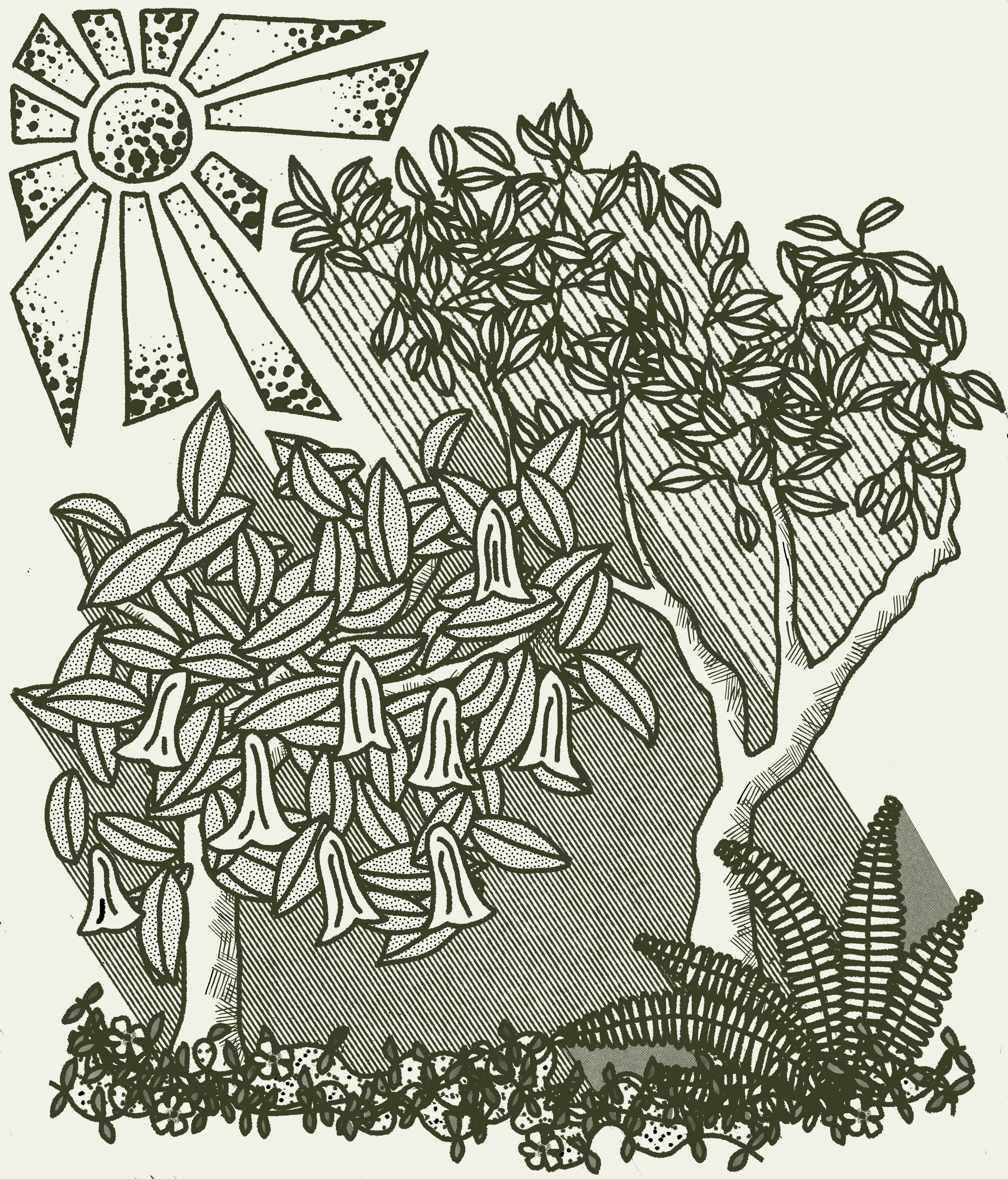 SHADE GARDEN FINAL 1.jpg