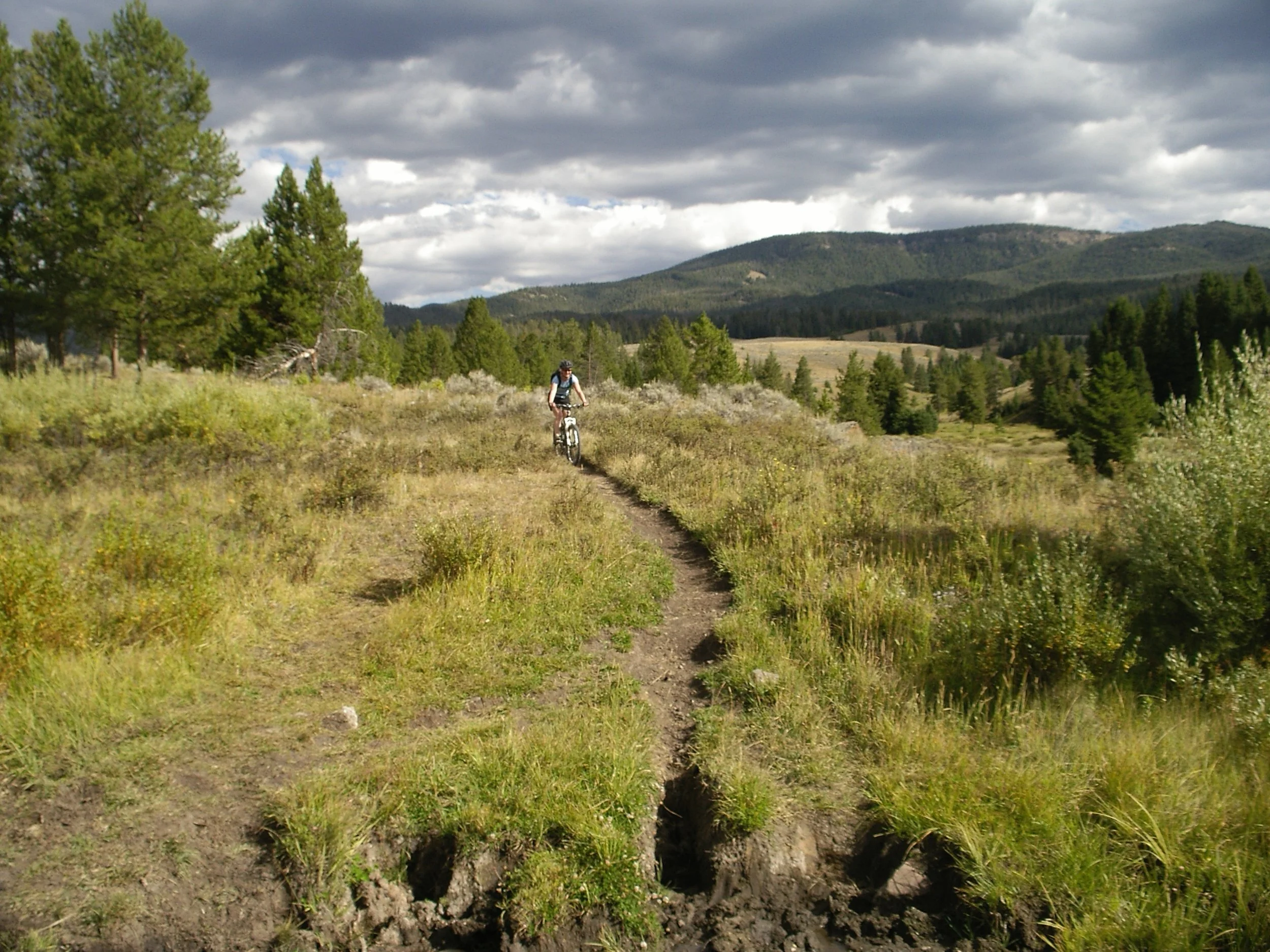 Big Sky, Montana in a Campervan