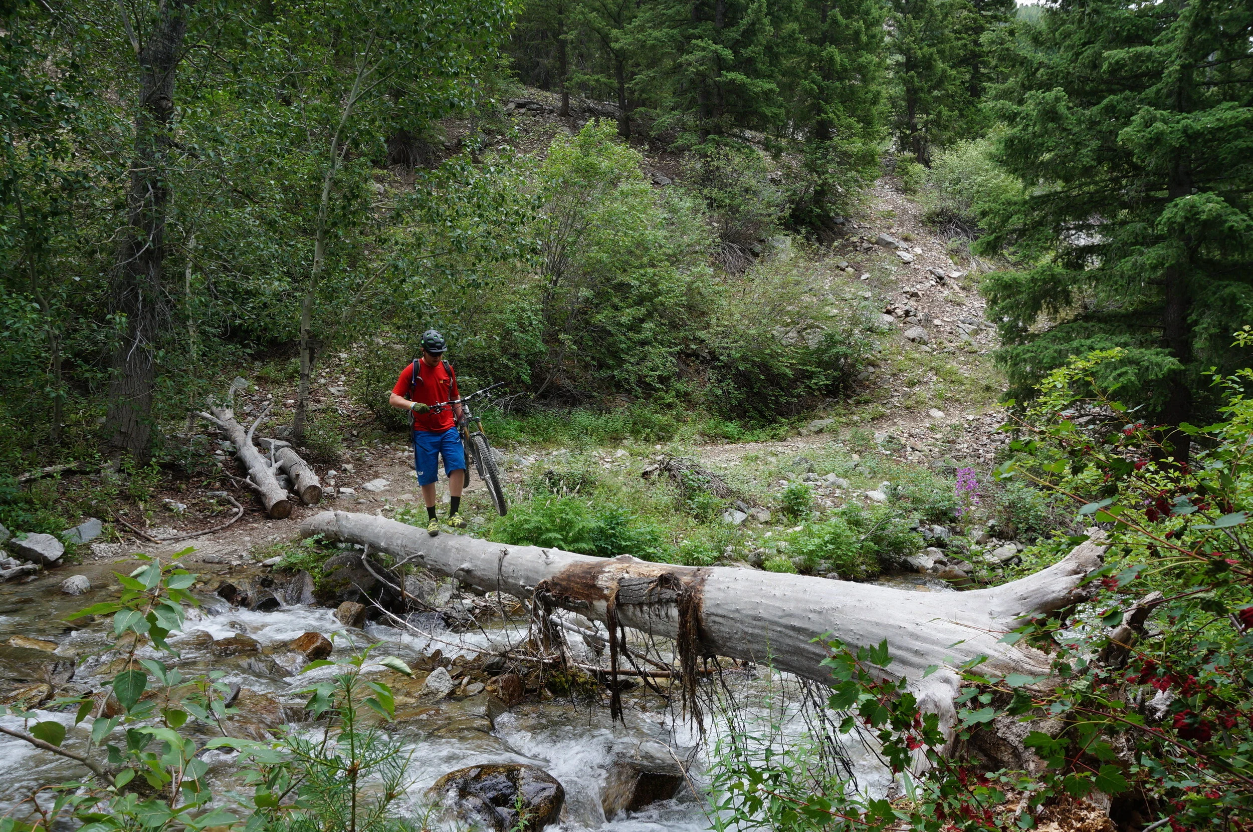 Smokey Mountain 2-Day Epic Ride with a Campervan Rental