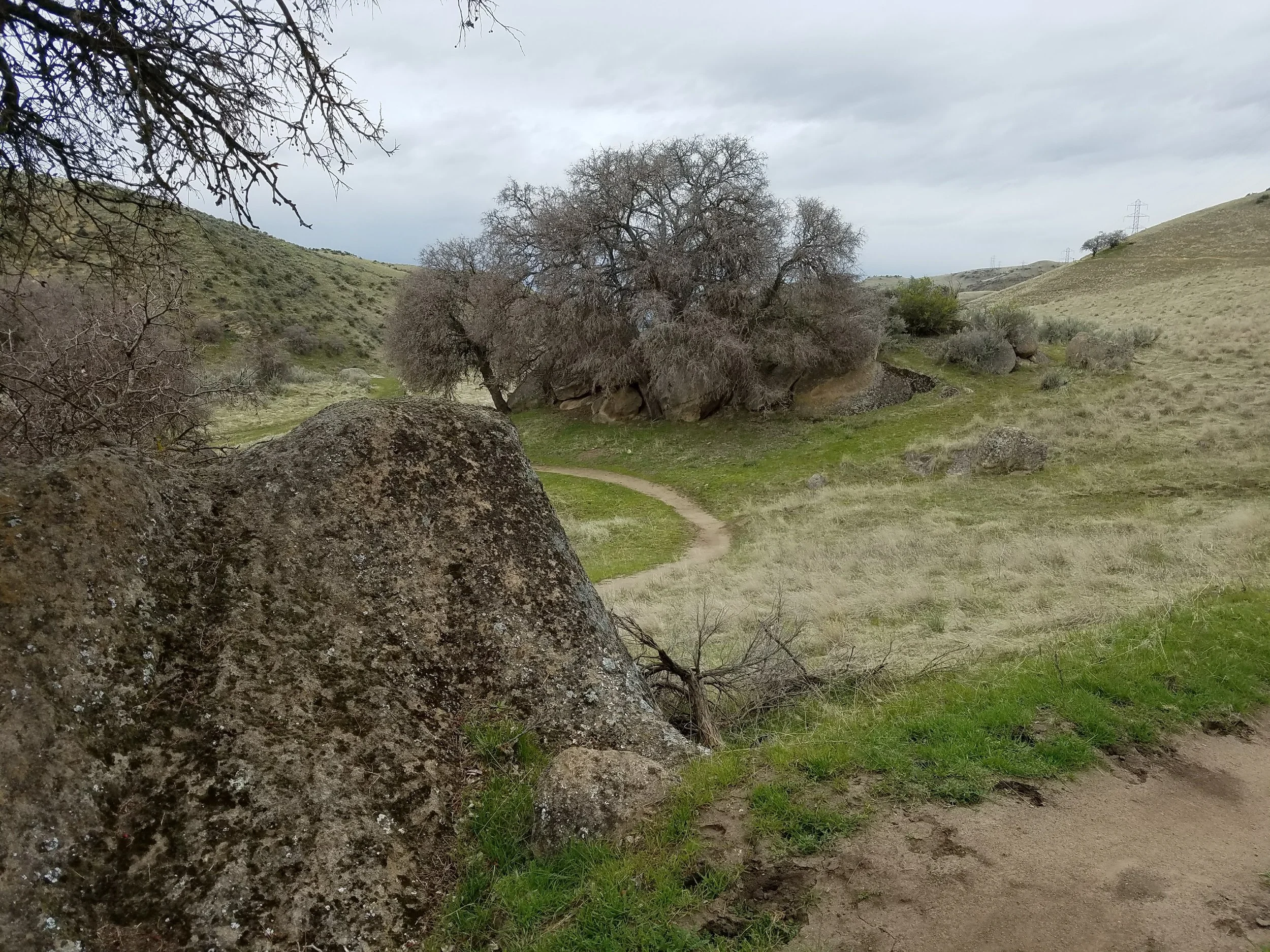 Mountain Biking The Idaho Trail