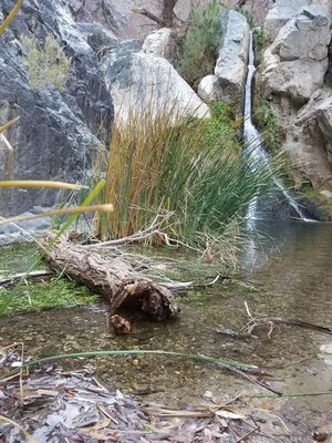 Joshua Tree and Death Valley National Park