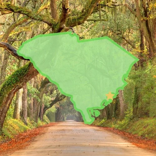 Explore South Carolina
