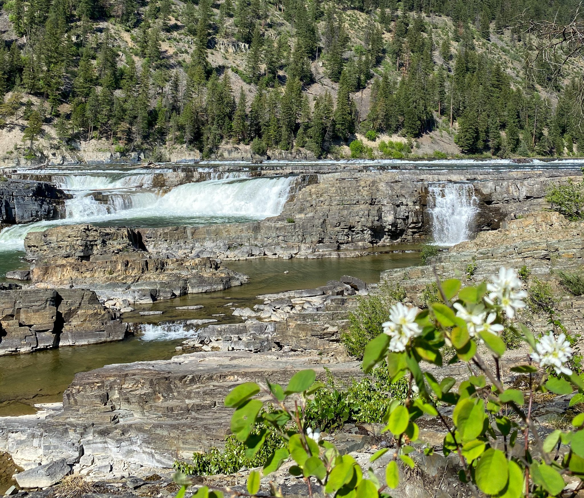 Unveiling Nature's Gem: Coeur d'Alene to Glacier National Park Loop