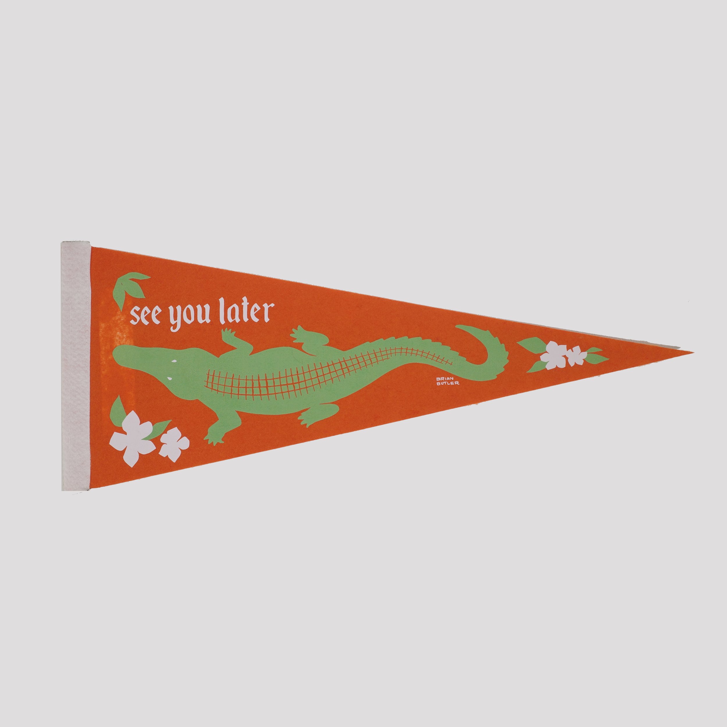 BrianButler-2023-DevilsTriangle_see-ya-alligator.jpg