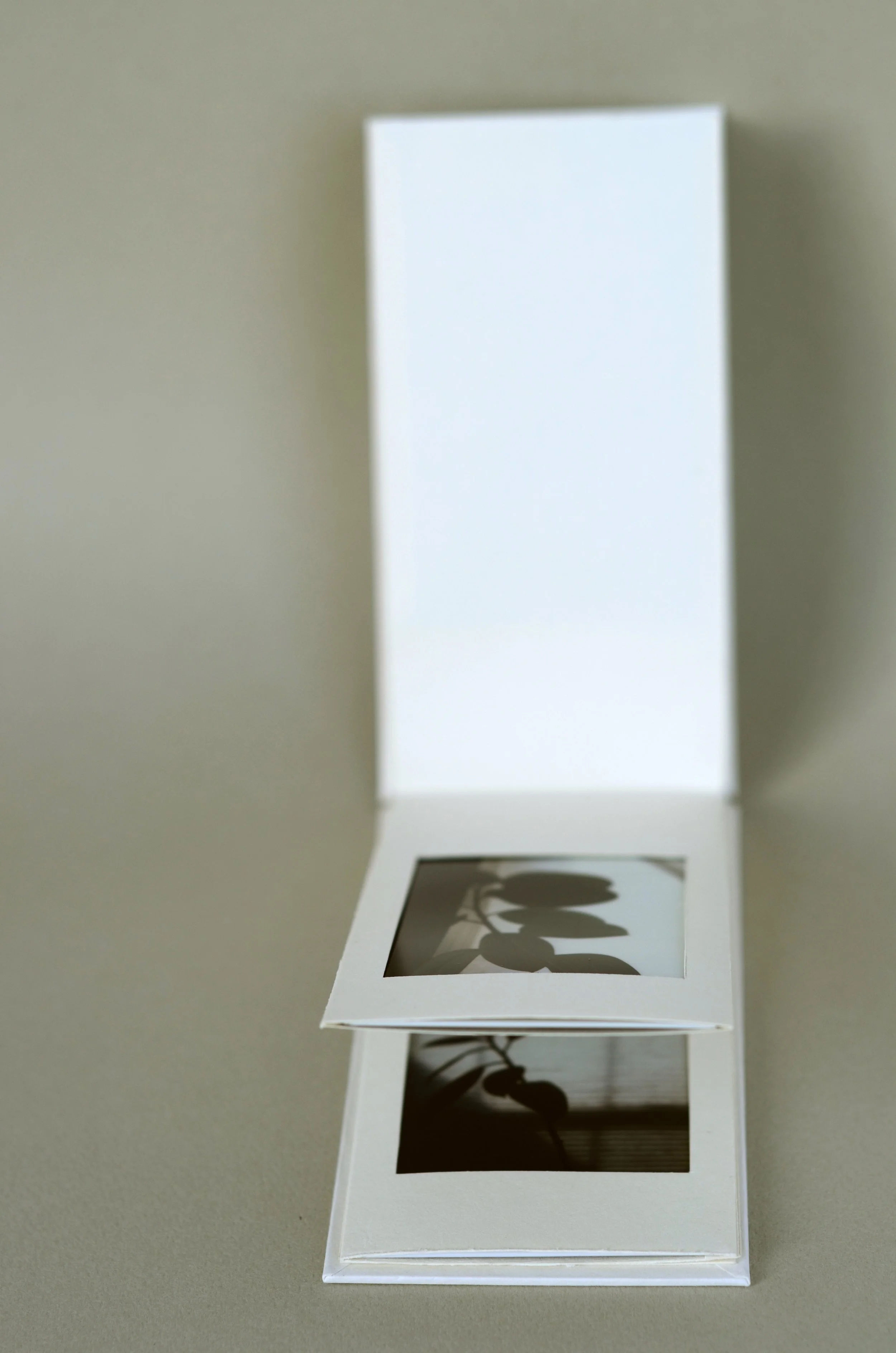 Handmade photo album #2, with picture windows