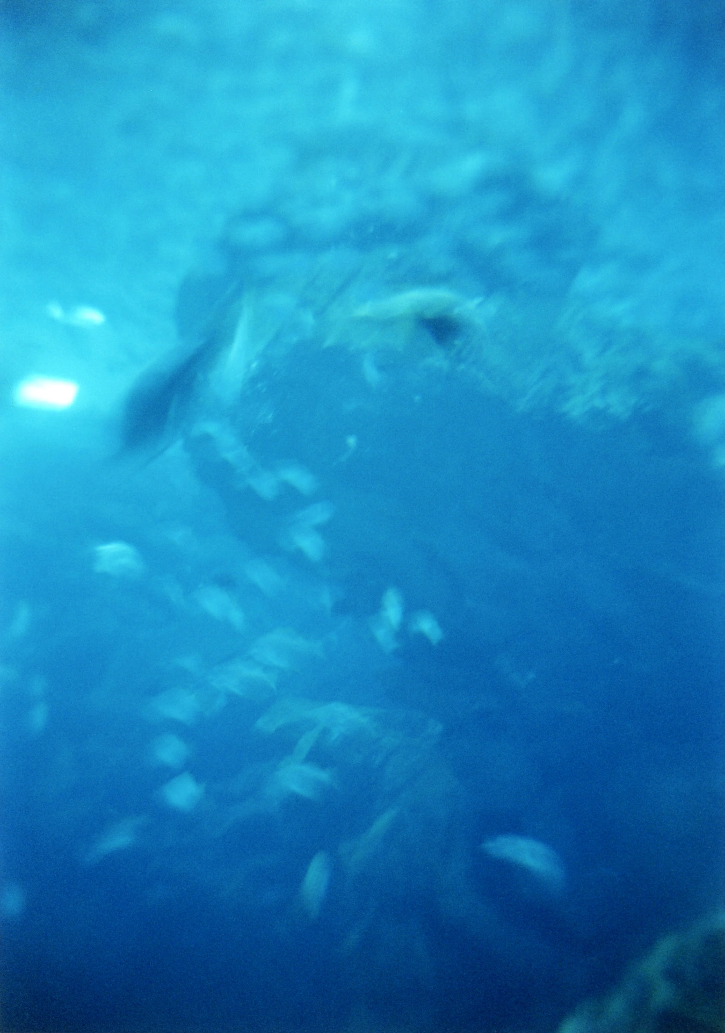 PHCP_25-006.jpg