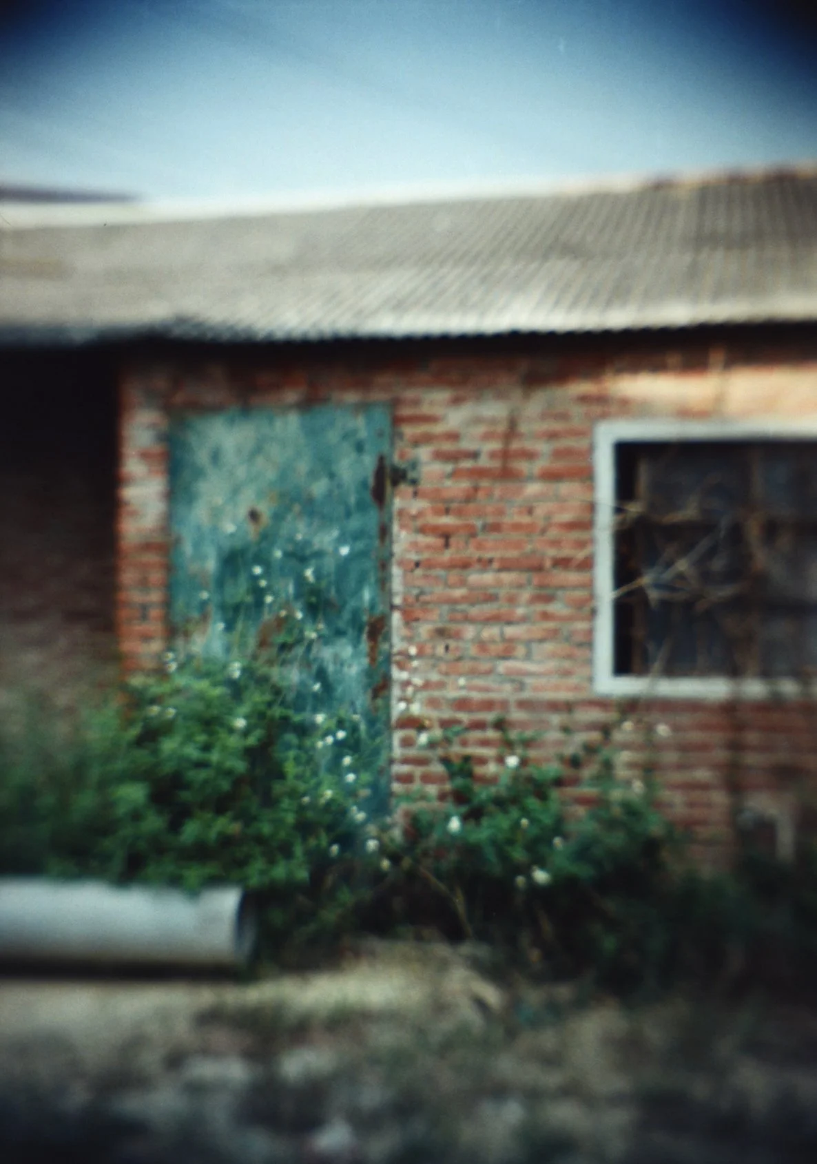 PHCP_22-005_72dpi.jpg