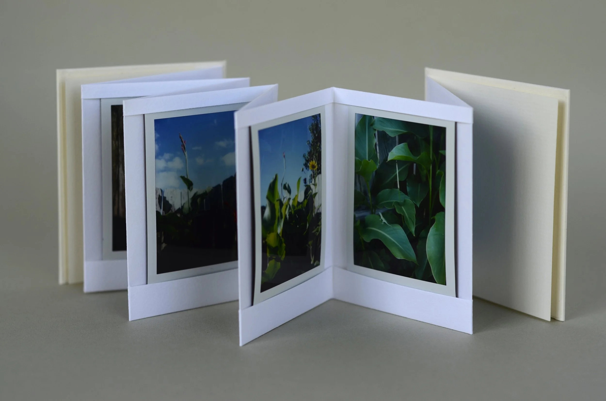 Handmade photo album #3, with slipcase & top/bottom sleeves