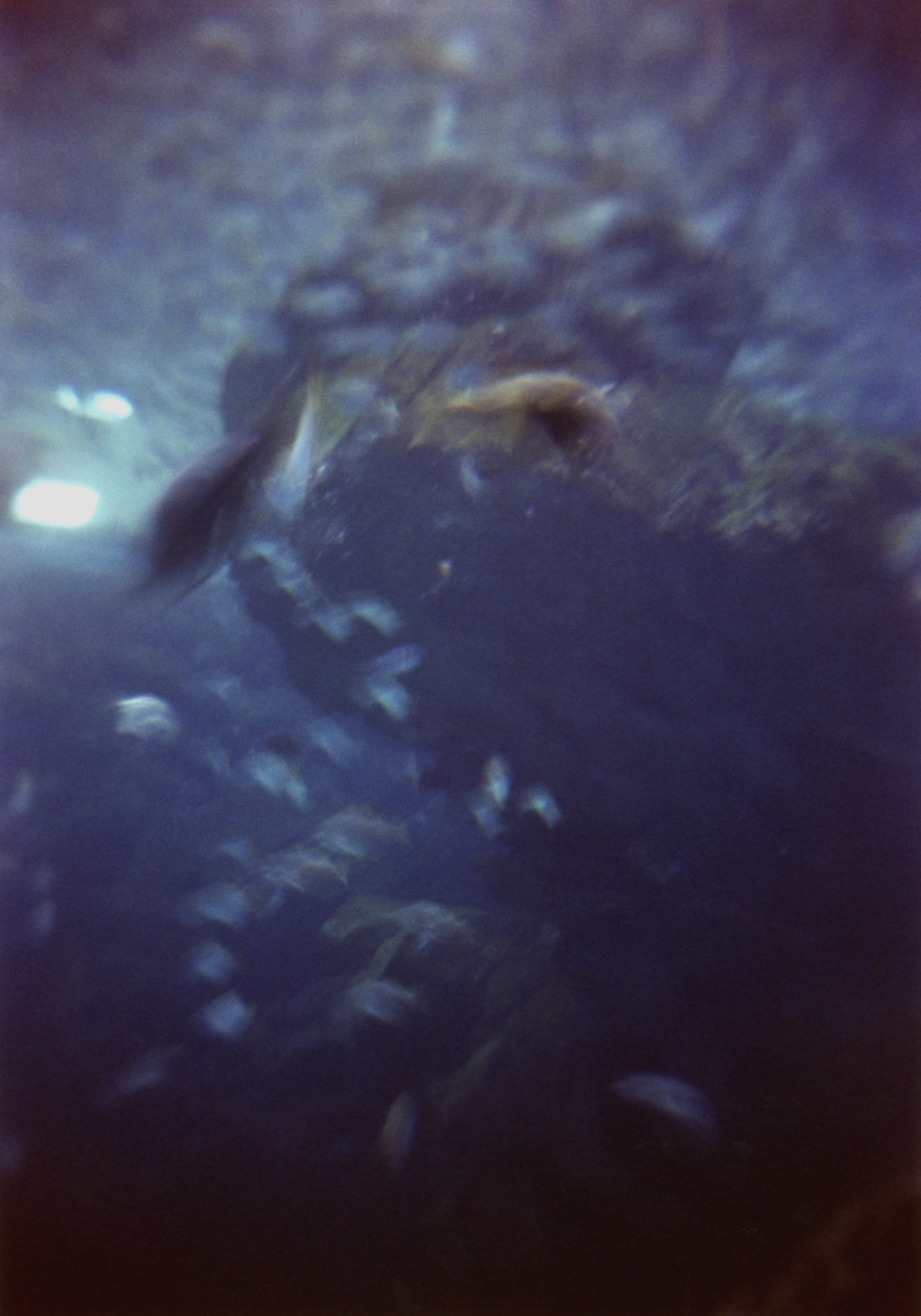PHCP_25-009.jpg