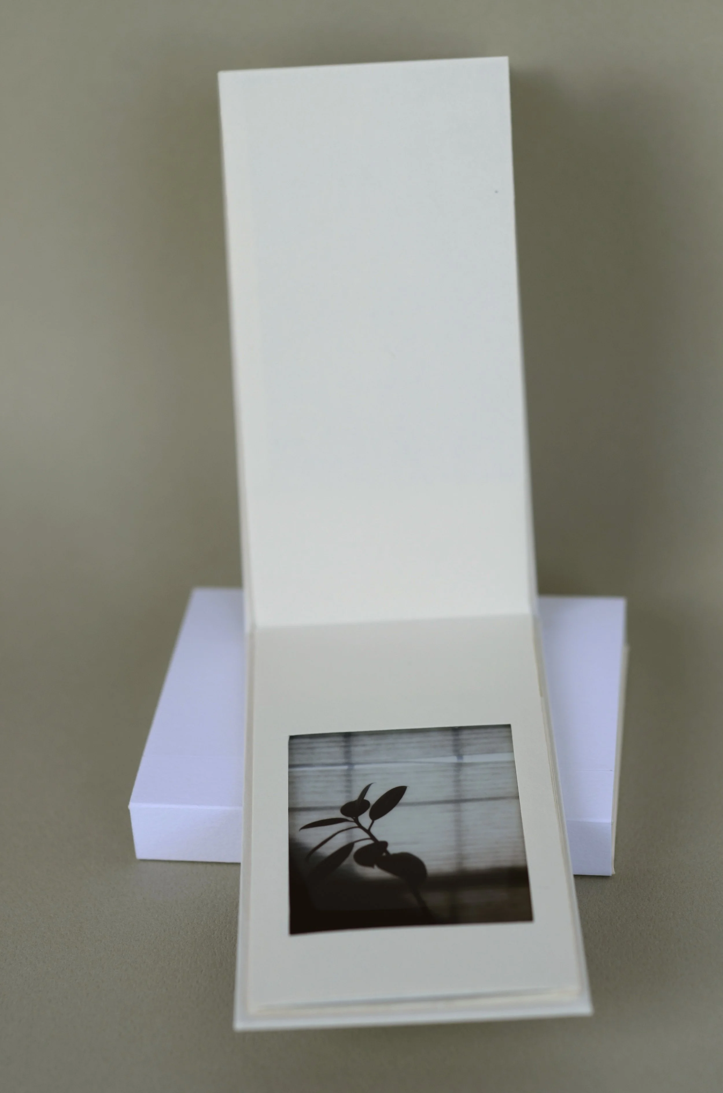 Handmade photo album #2, with picture windows