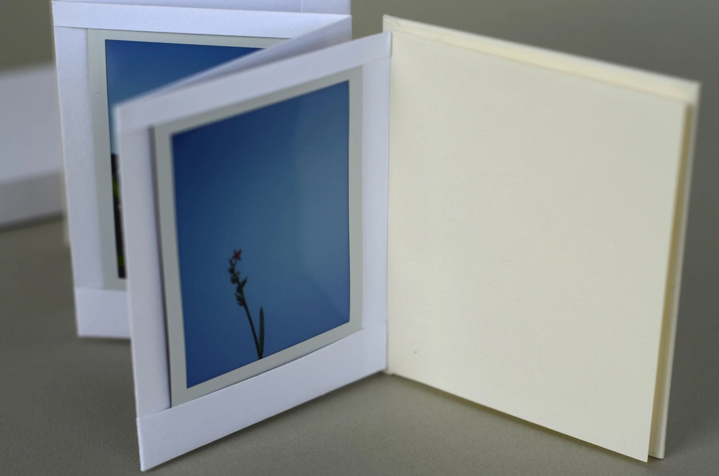 Handmade photo album #3, with slipcase & top/bottom sleeves