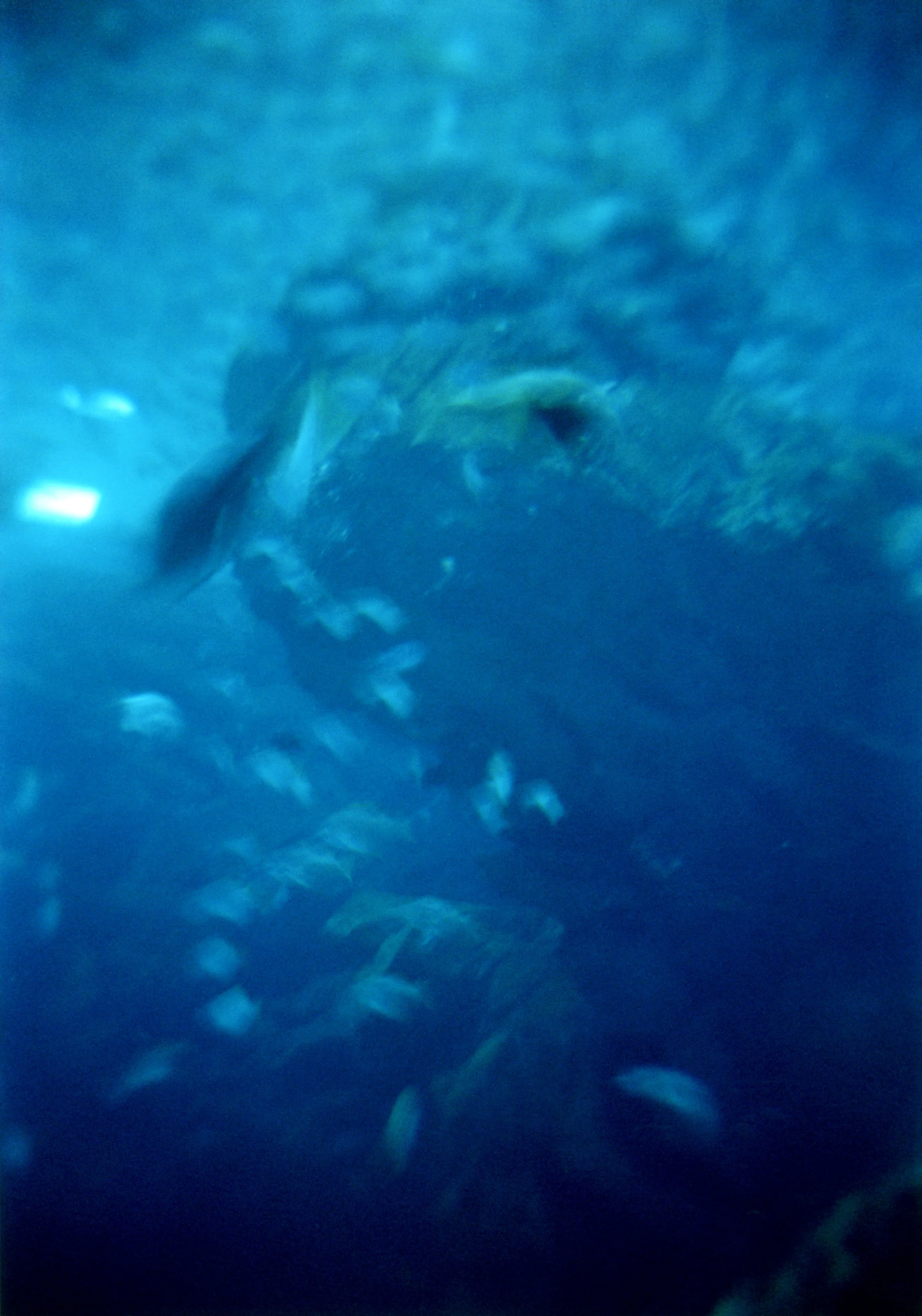 PHCP_25-005.jpg