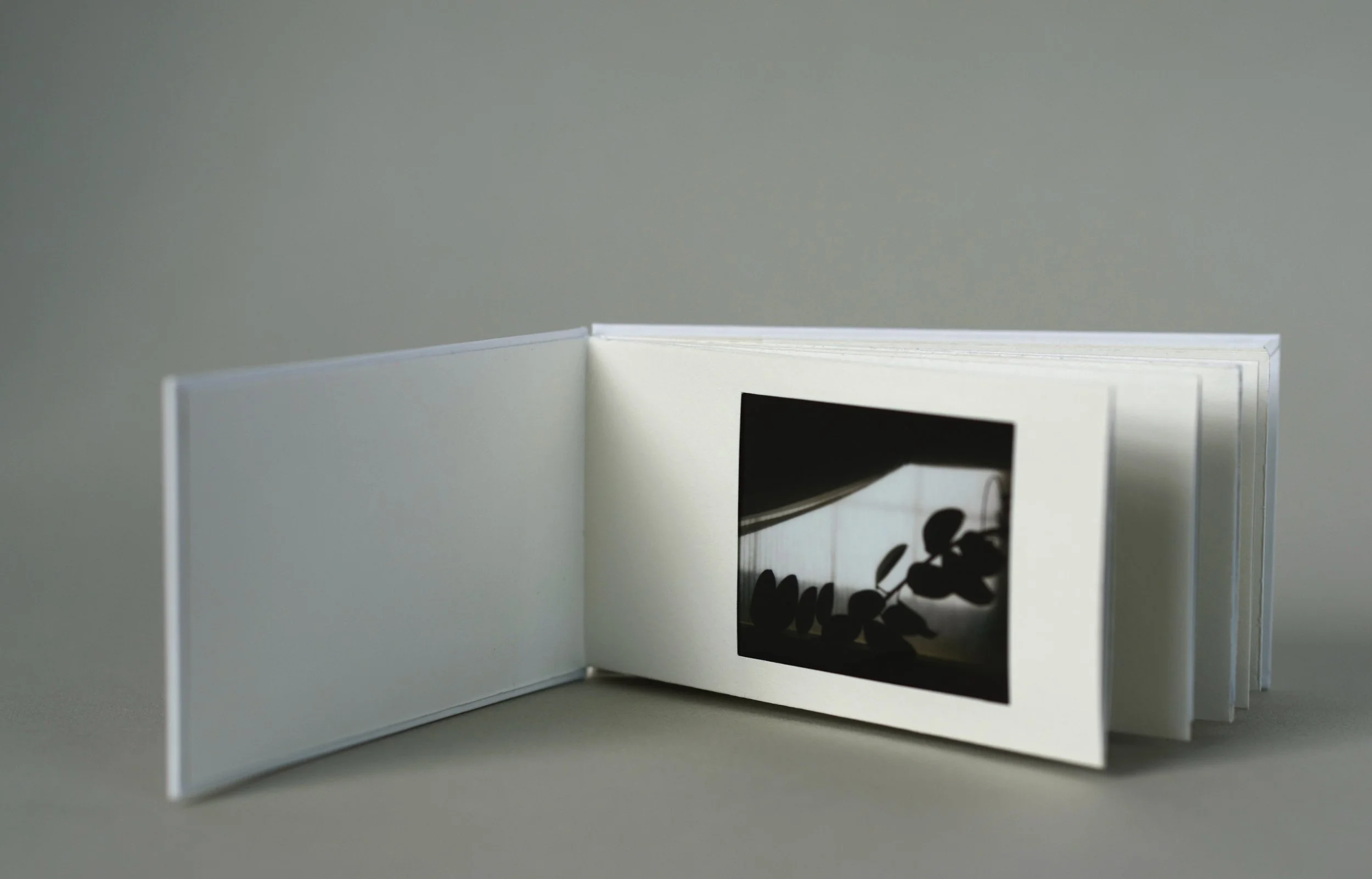 Handmade photo album #2, with picture windows