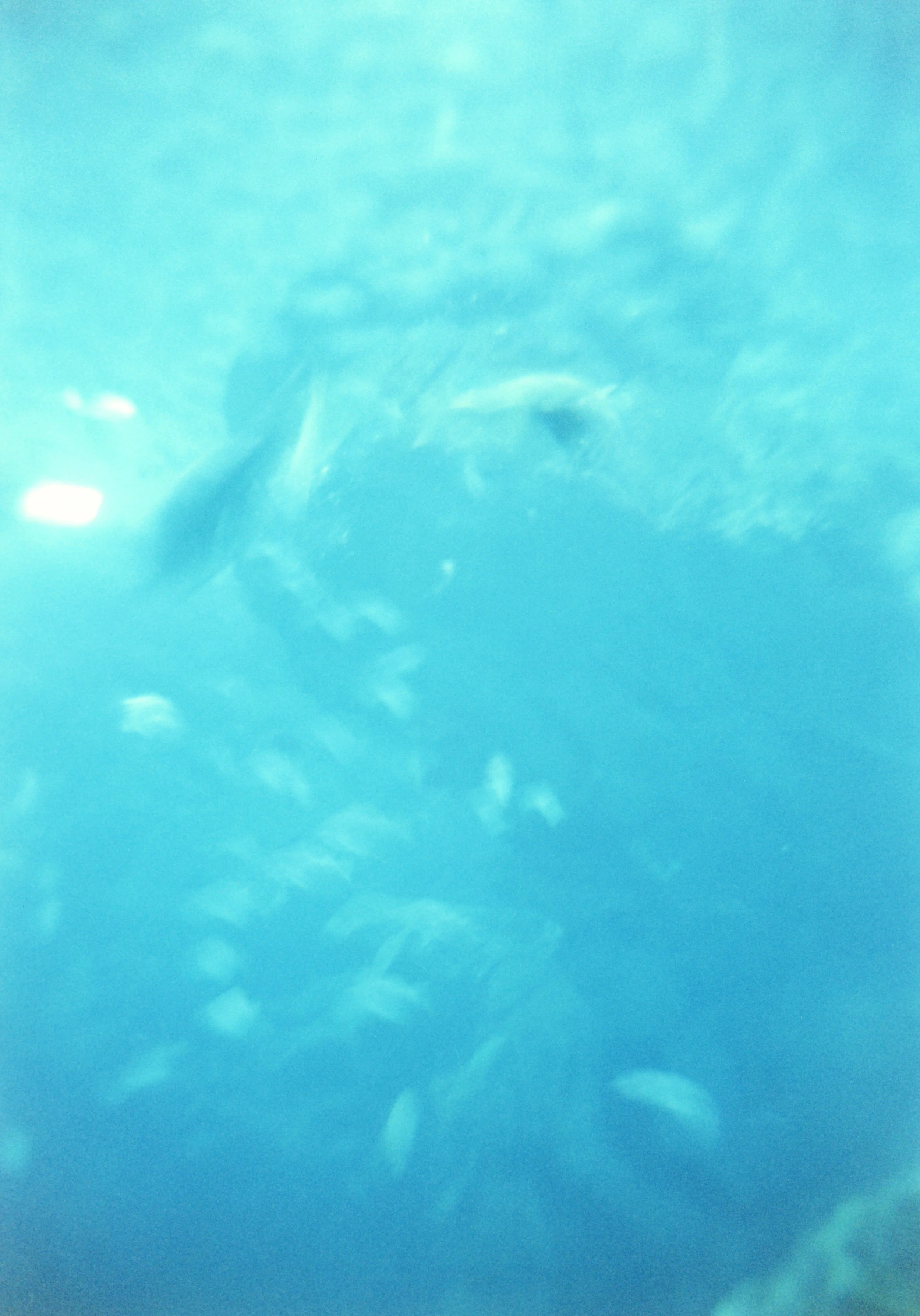 PHCP_25-001.jpg