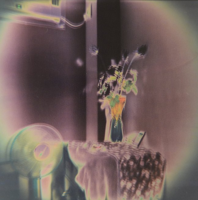 PHCP_19-019_72dpi.jpg