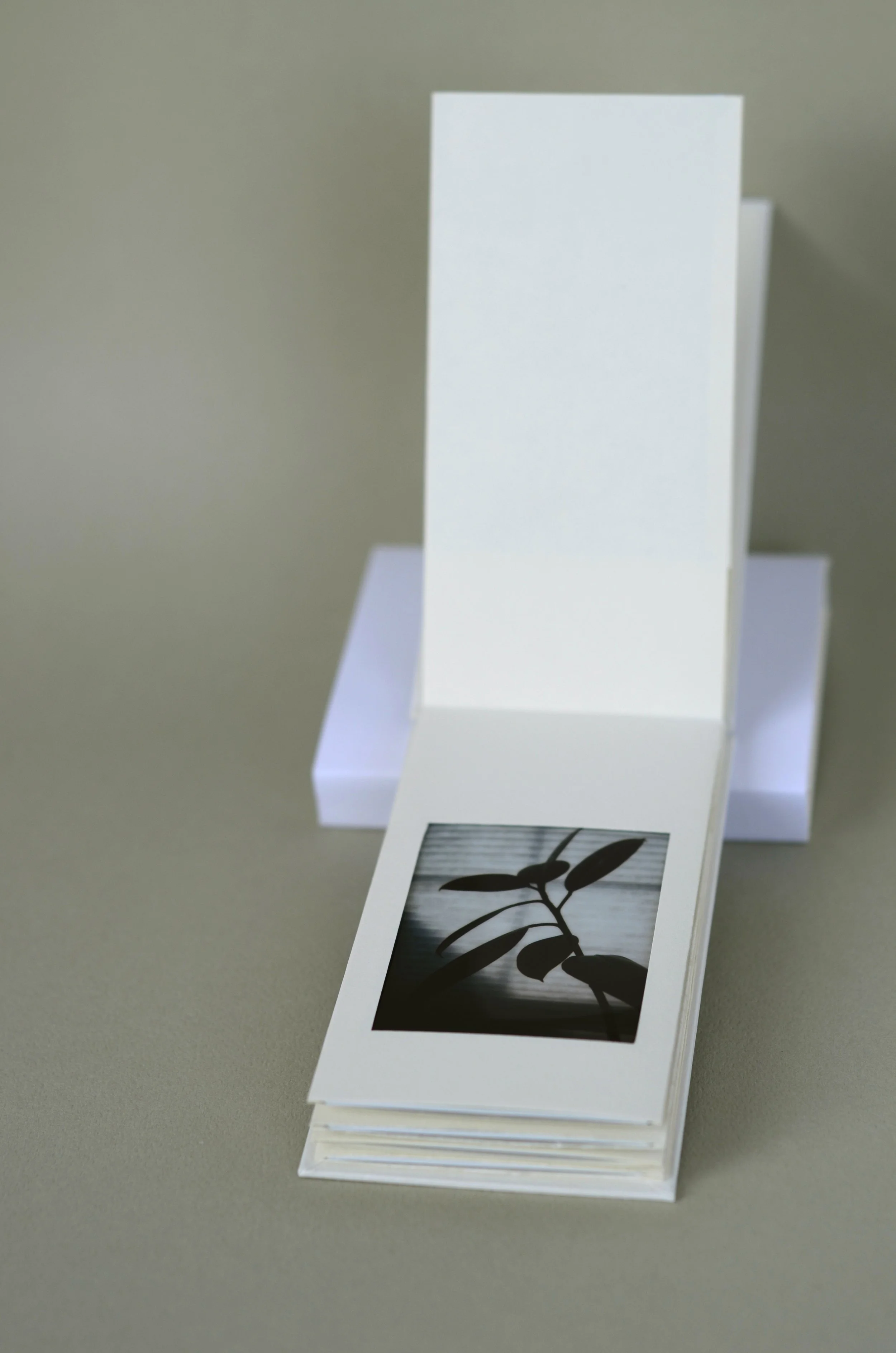 Handmade photo album #2, with picture windows