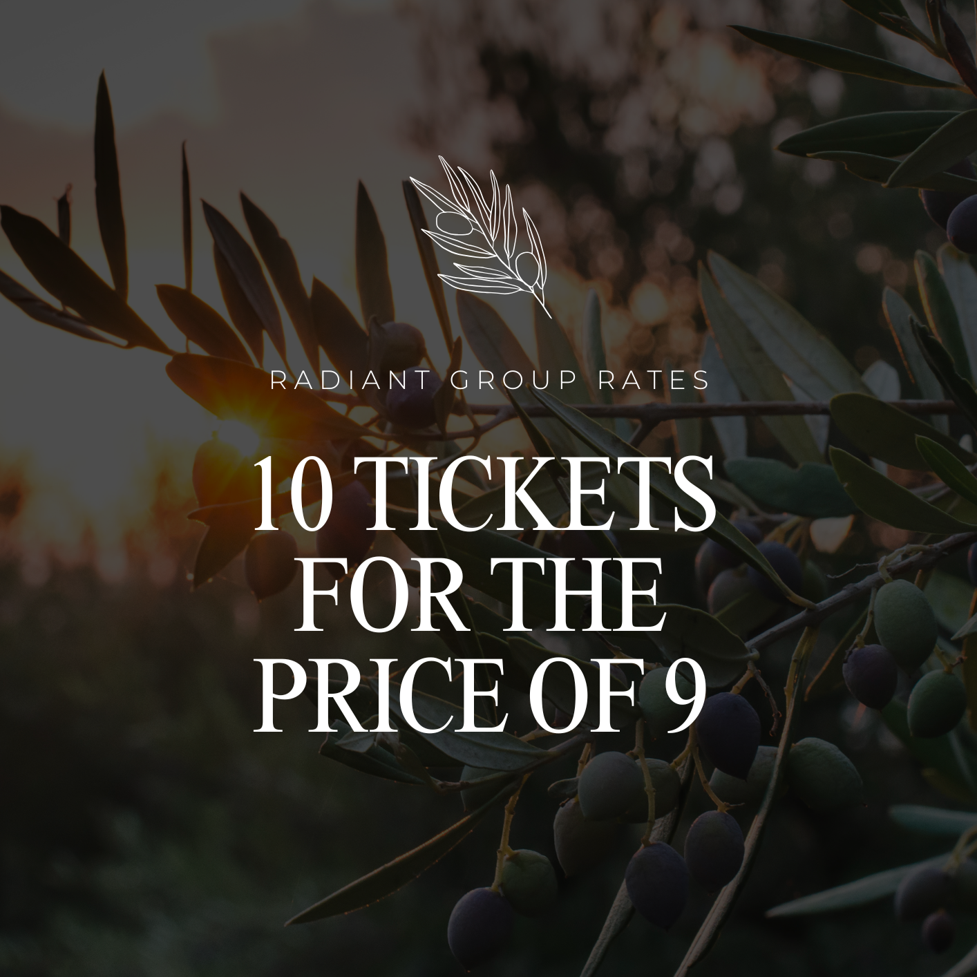 Black Friday - 10 Tickets for the Price of 9 ($85 per ticket)
