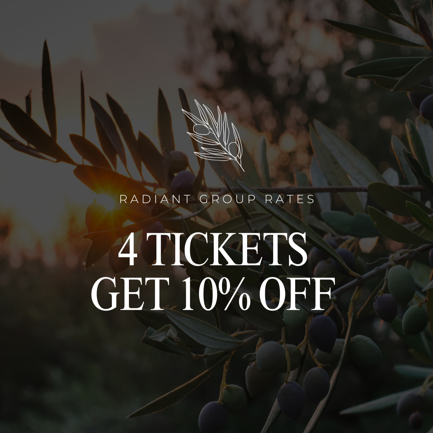 Black Friday - 4 Tickets for the Price of 3 ($89 per ticket)