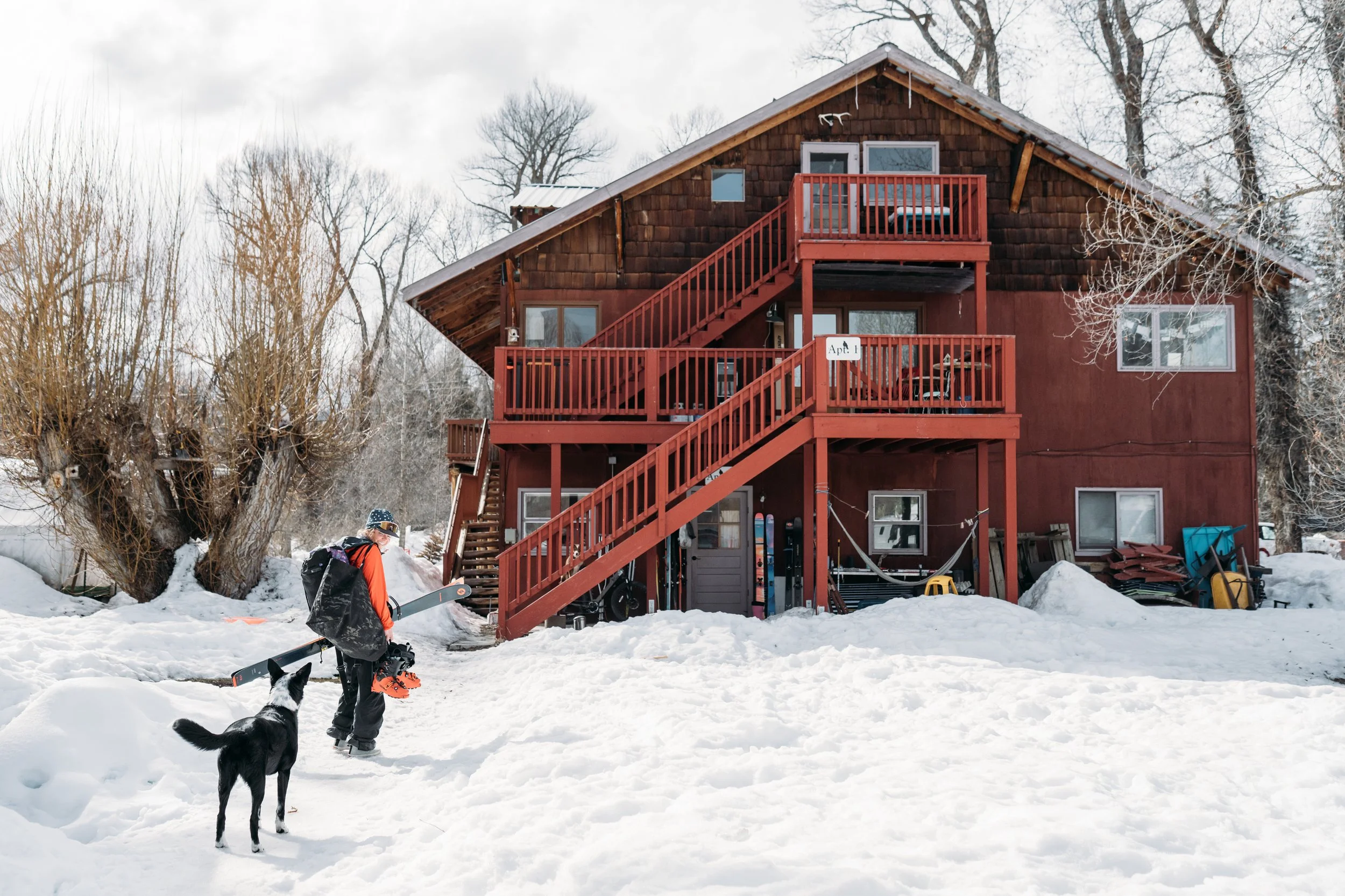 A person in snow gear and a dog with a snowboard in front of a brown, three-story apartment building with red stairs and railings during winter, snow on the ground and leafless trees around.