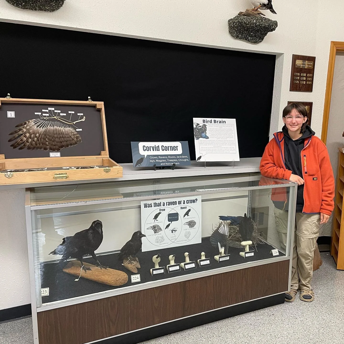 American Bald Eagle Foundation