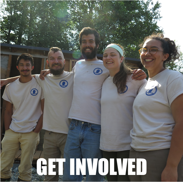 American Bald Eagle Foundation