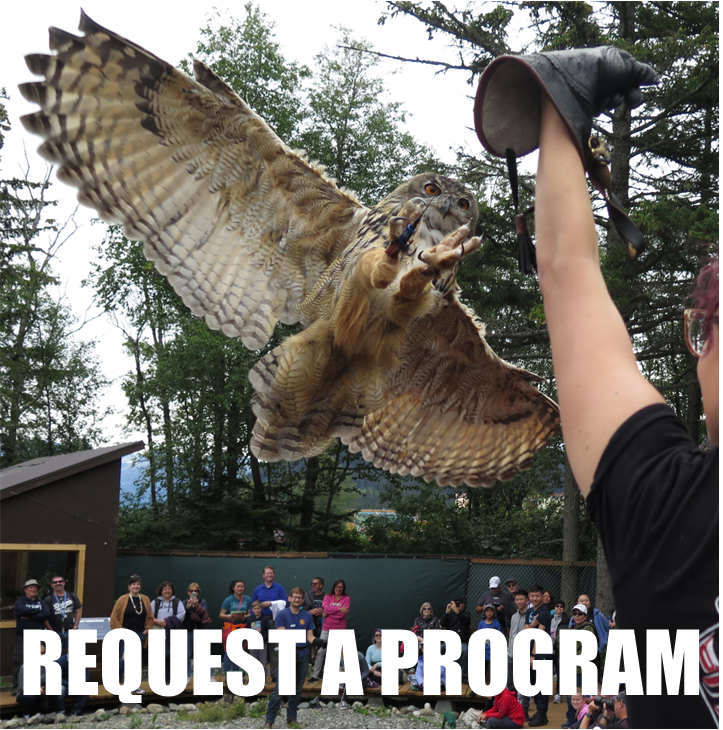 American Bald Eagle Foundation