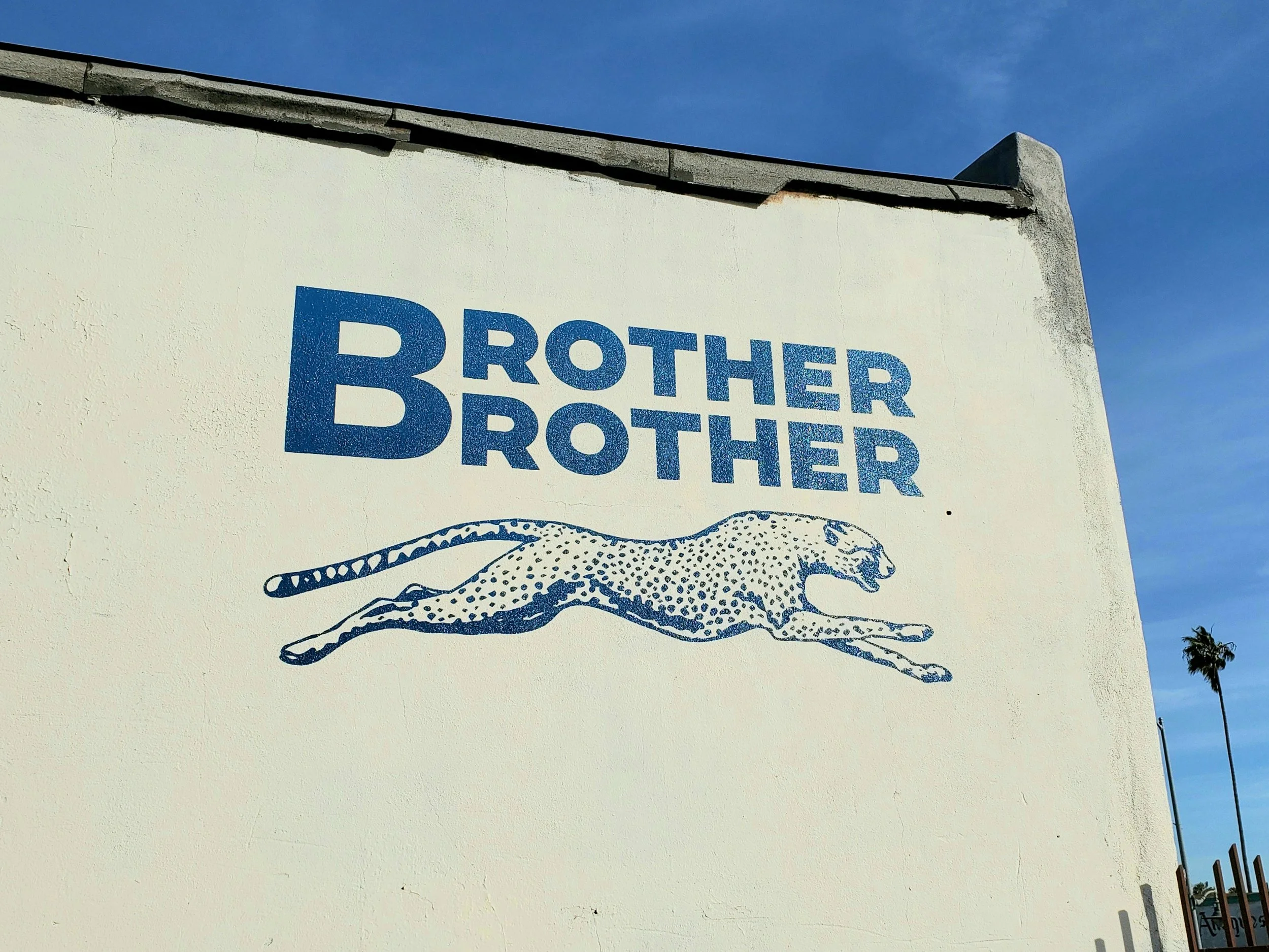 Our Portfolio — Smiling Tiger Studios