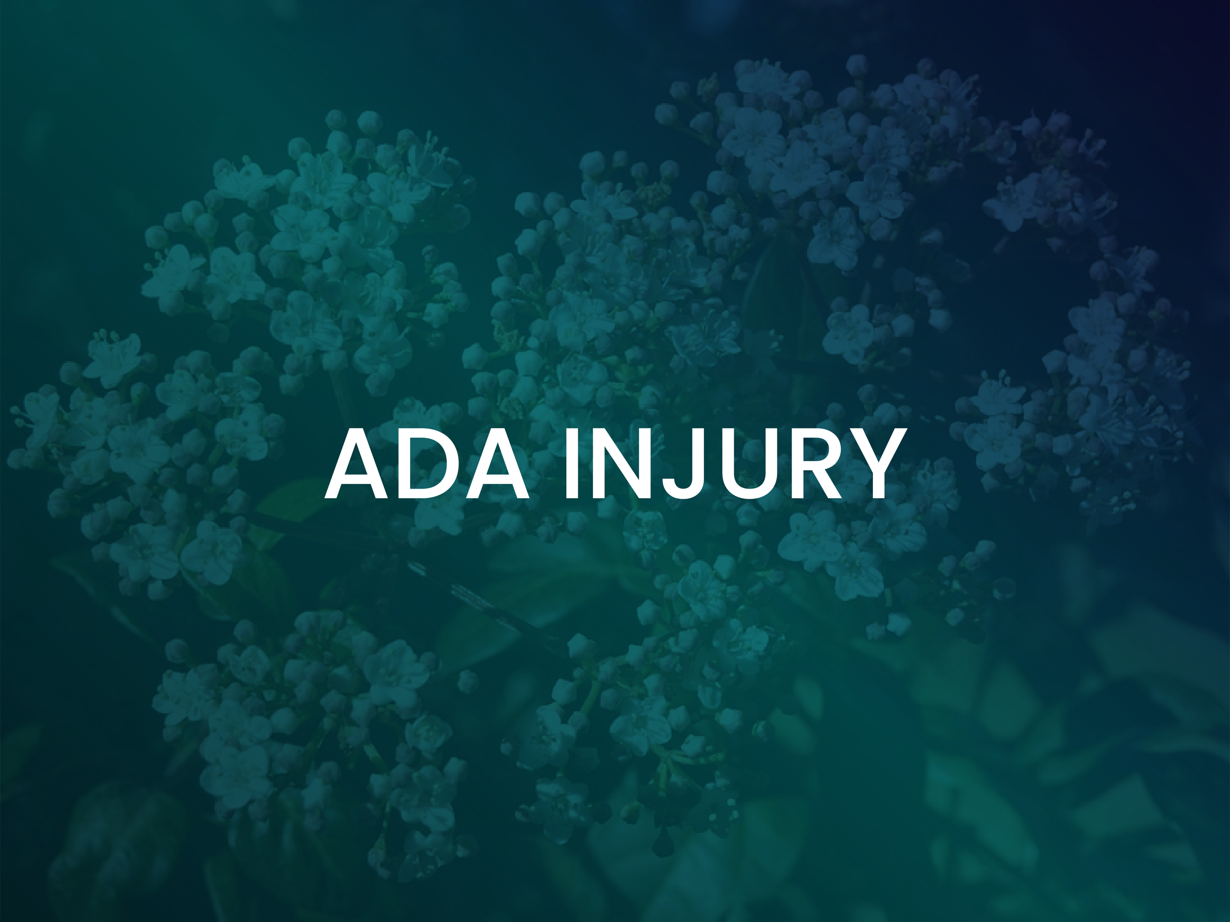 AIL_Practice-Area_ADA-Injury_ada.png