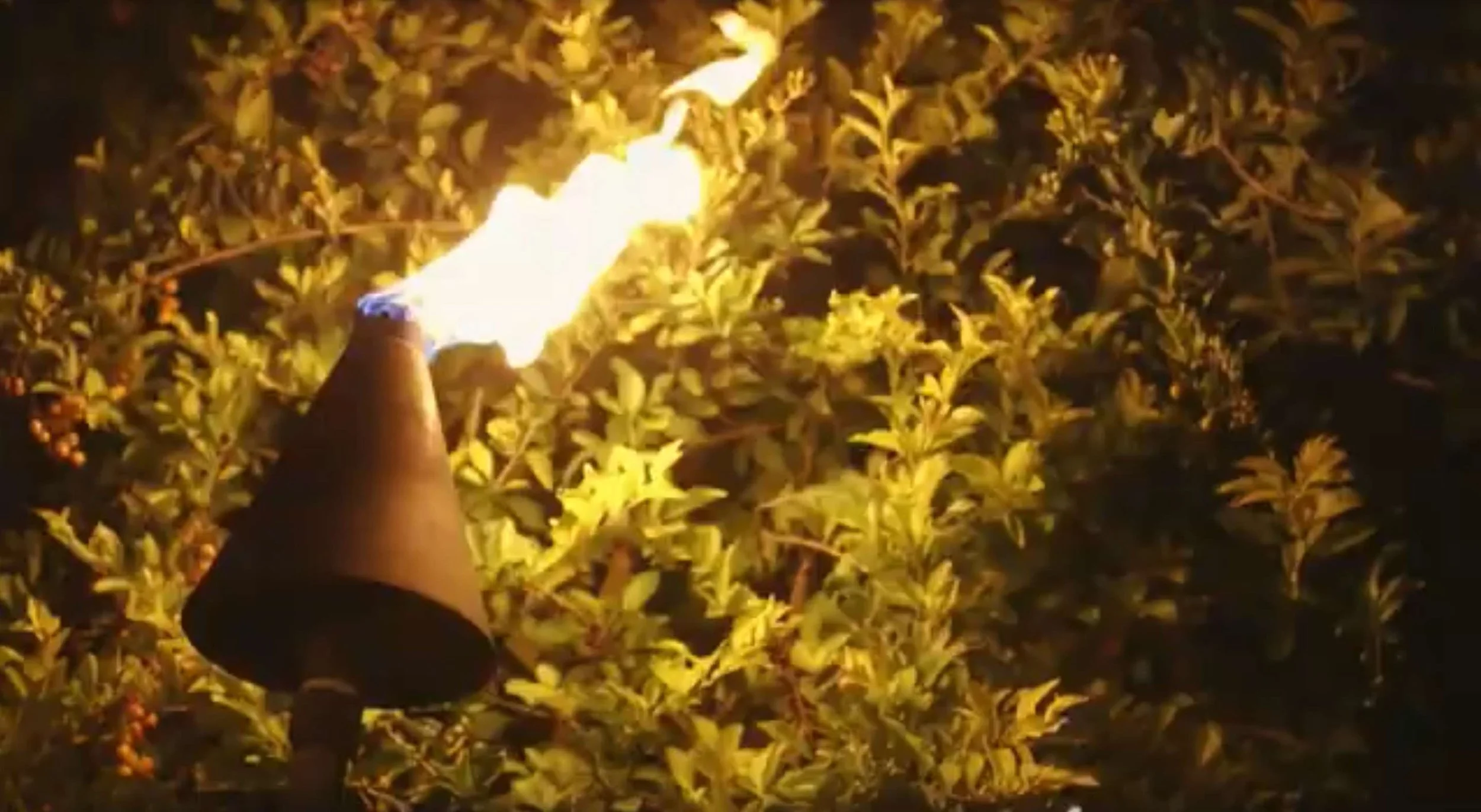 Sugar Beach Luau .jpg