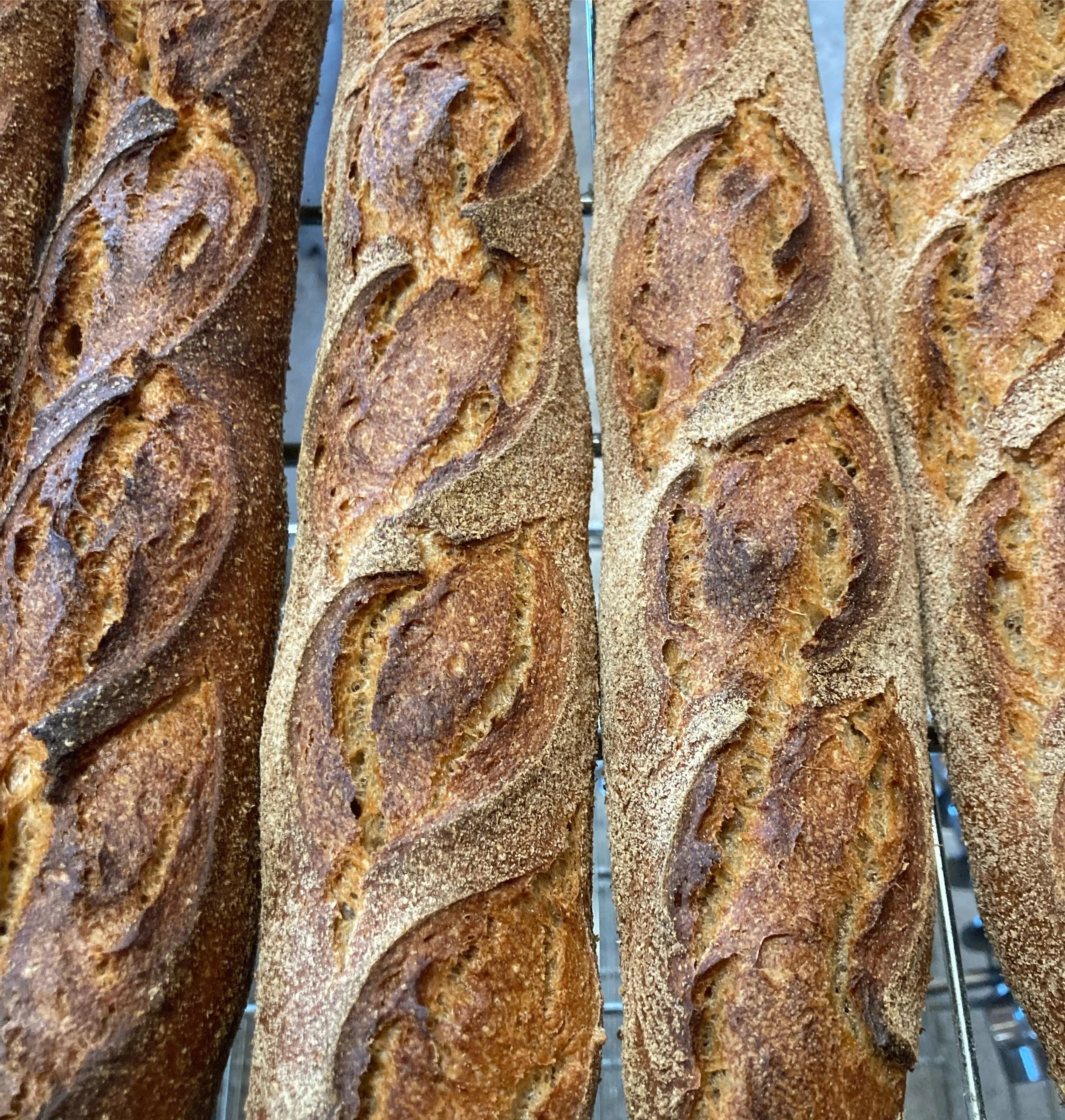 Rye Flour, Center Valley — Chimacum Valley Grainery