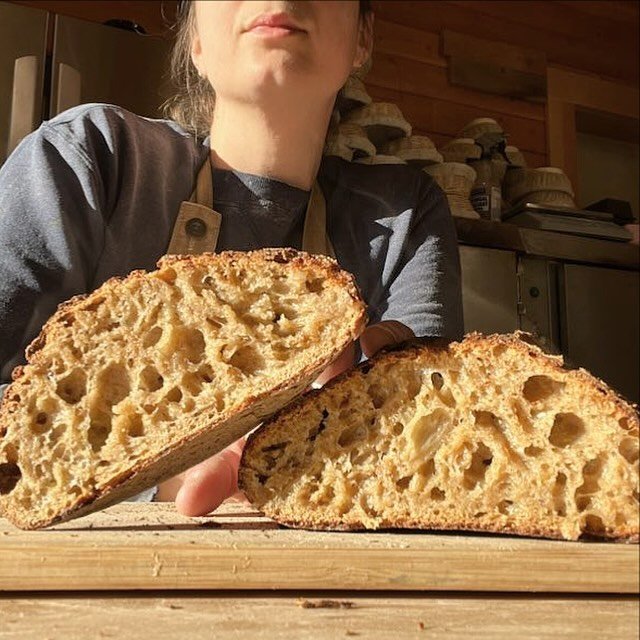 Another shout out for the neighborhood bread share! Weekly woodfired sourdough loaves baked and delivered to a central location in both Port Townsend and Chimacum for your eating pleasure and nutritional enhancement.

Think of it as a subscription fo