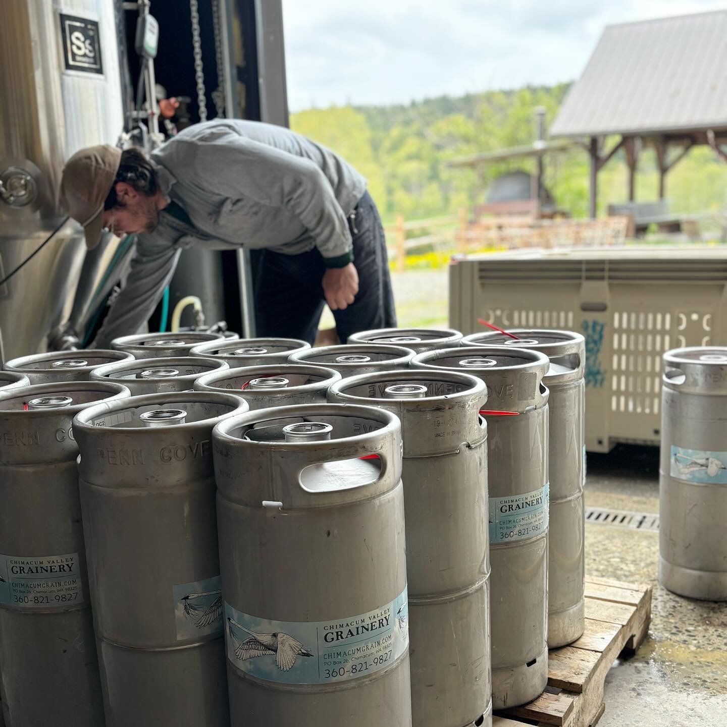 And they&rsquo;re off! 

Soft release as we send out the first kegs of the Grainery&rsquo;s &lsquo;Hazy &amp;  Harrowing&rsquo;* Pale Ale, making their way over to Finnriver and the PT Pourhouse.
@ptpourhouse 
@finnriver 
with regional deliveries for